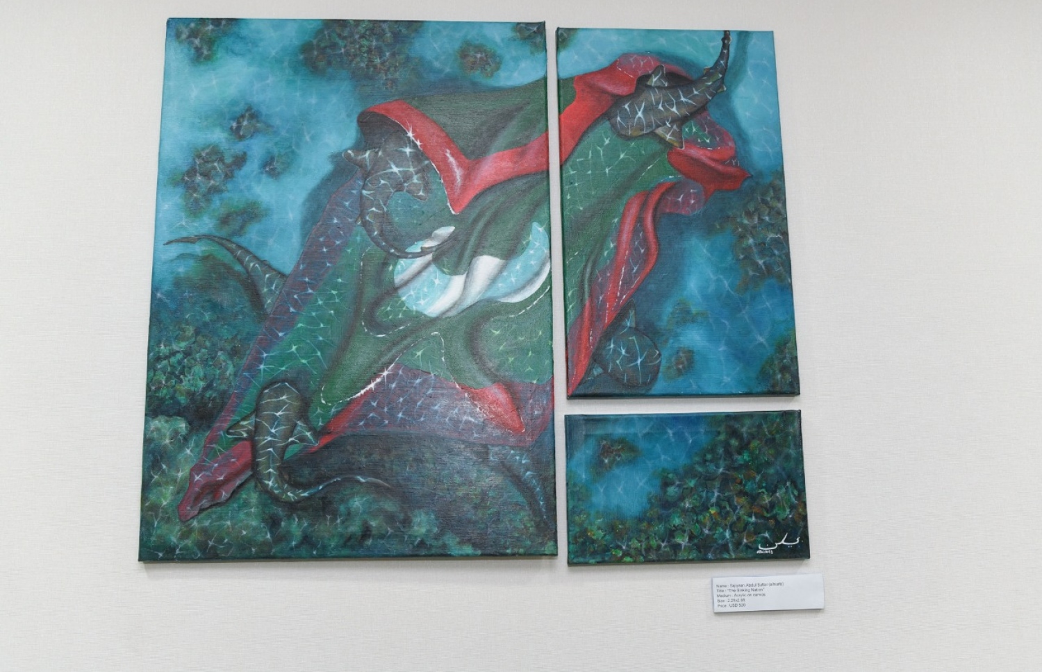 ރާއްޖޭގެ އާޓިސްޓުން މަޖިލީހުގައި ބަހައްޓާފައިވާ ކުރެހުންތަކެއް.