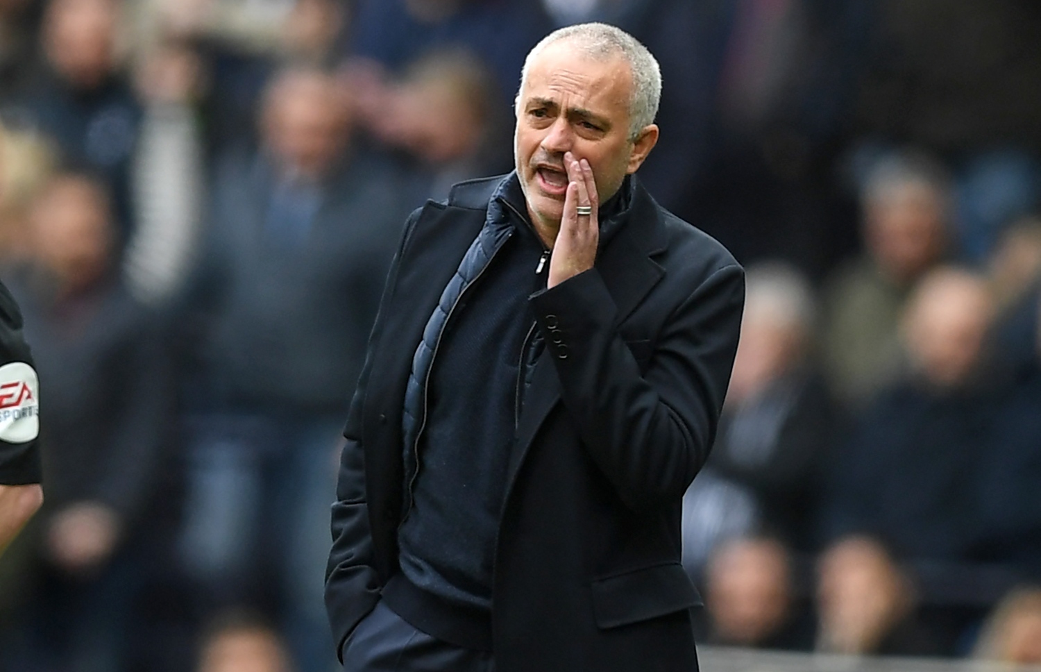 ޓޮޓެންހަމް ކޯޗު ހޯސޭ މޮރީނިއޯ. -- ފޮޓޯ: އޭއެފްޕީ