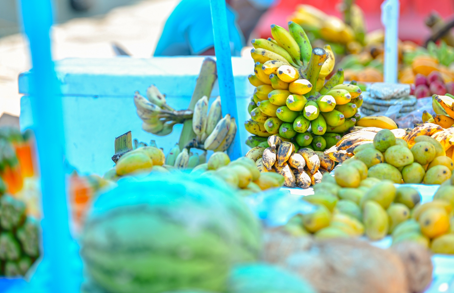 މާރުކޭޓުގައި ވިއްކަން ބަހައްޓާފައި ހުރި ބައެއް މޭވާ -- ފޮޓޯ: އަހުމަދު އަވްޝަން އިލްޔާސް/ މިިހާރު