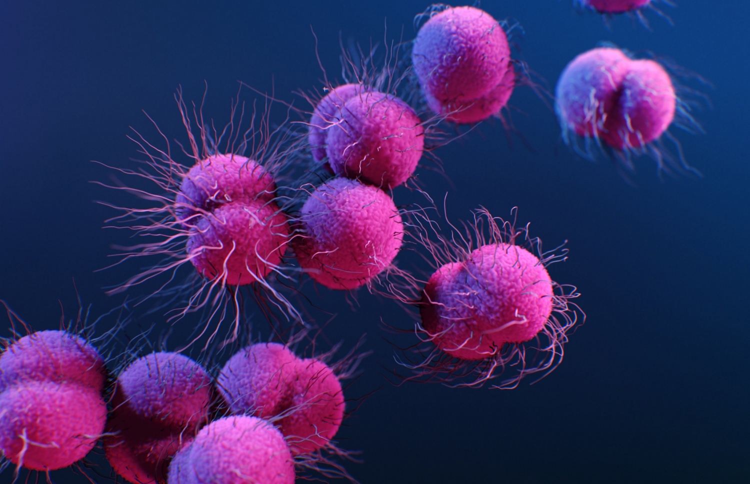 ކިހުނު ބަލީގެ ޖަރާސީމާ ބެހޭ ގޮތުން ސީޑީސީގެ އެލިސާ އެކާޓް އާއި ޑެން ހިގިންސް ތައްޔާރުކޮށްފައިވާ އިލަސްޓްރޭޝަނެއް