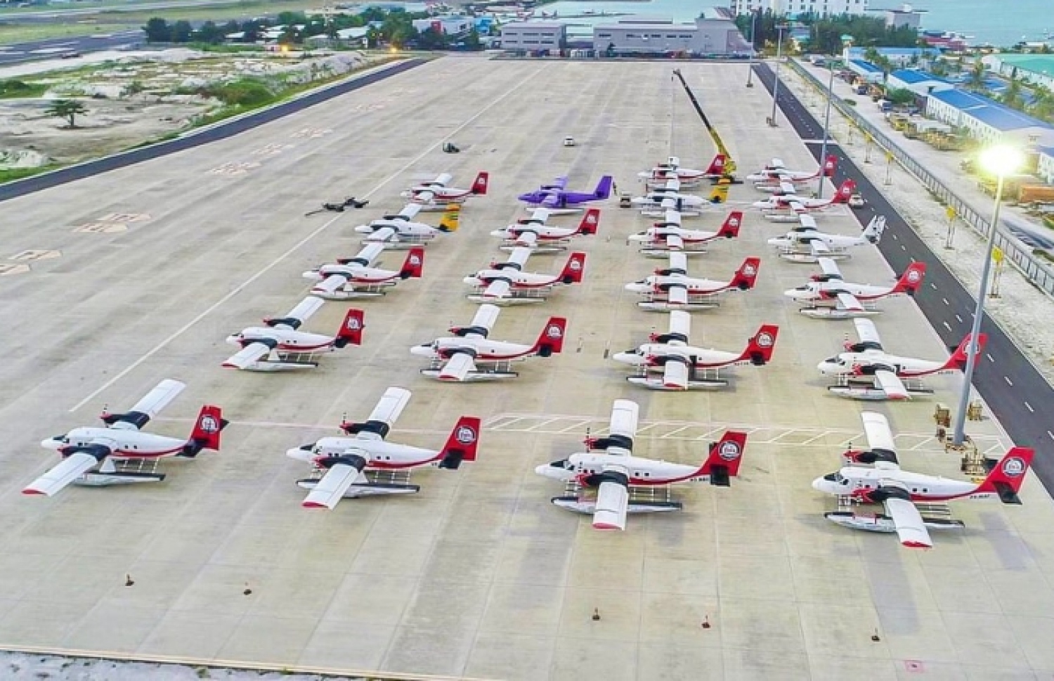 ލޮކްޑައުން ކުރުމާ ގުޅިގެން ޓީއެމްއޭގެ ގިނަ އަދަދެއްގެ ސީޕްލޭންތައް ޕަީކު ކޮށްފައި-- ފޮޓޯ: ސޯޝަލް މީޑިއާ