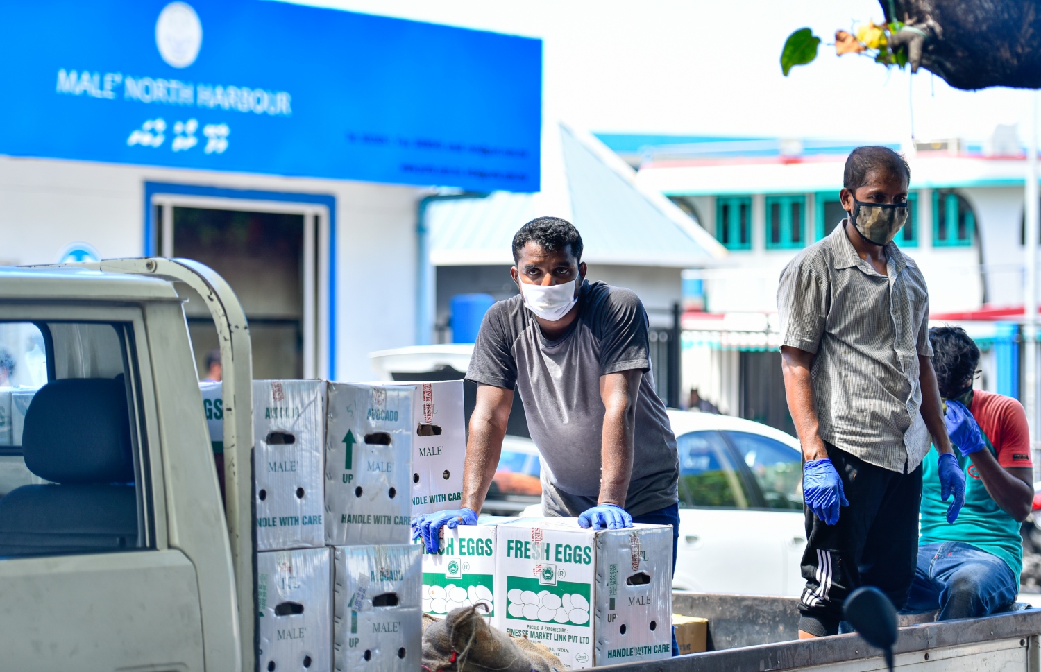 މާލެ: އޭޕްރިލް 19، 2020: ބާޒާރުމަތީގައި ހުރި ފިހާރައަކުން މީހަކު ޑެލިވަރީގެ ހިދުމަތް ދިނުމަށް ޕިކަޕަށް މުދާ އަރުވާފައި.-- ފޮޓޯ: އަހުމަދު އަވްޝަން /މިހާރު
