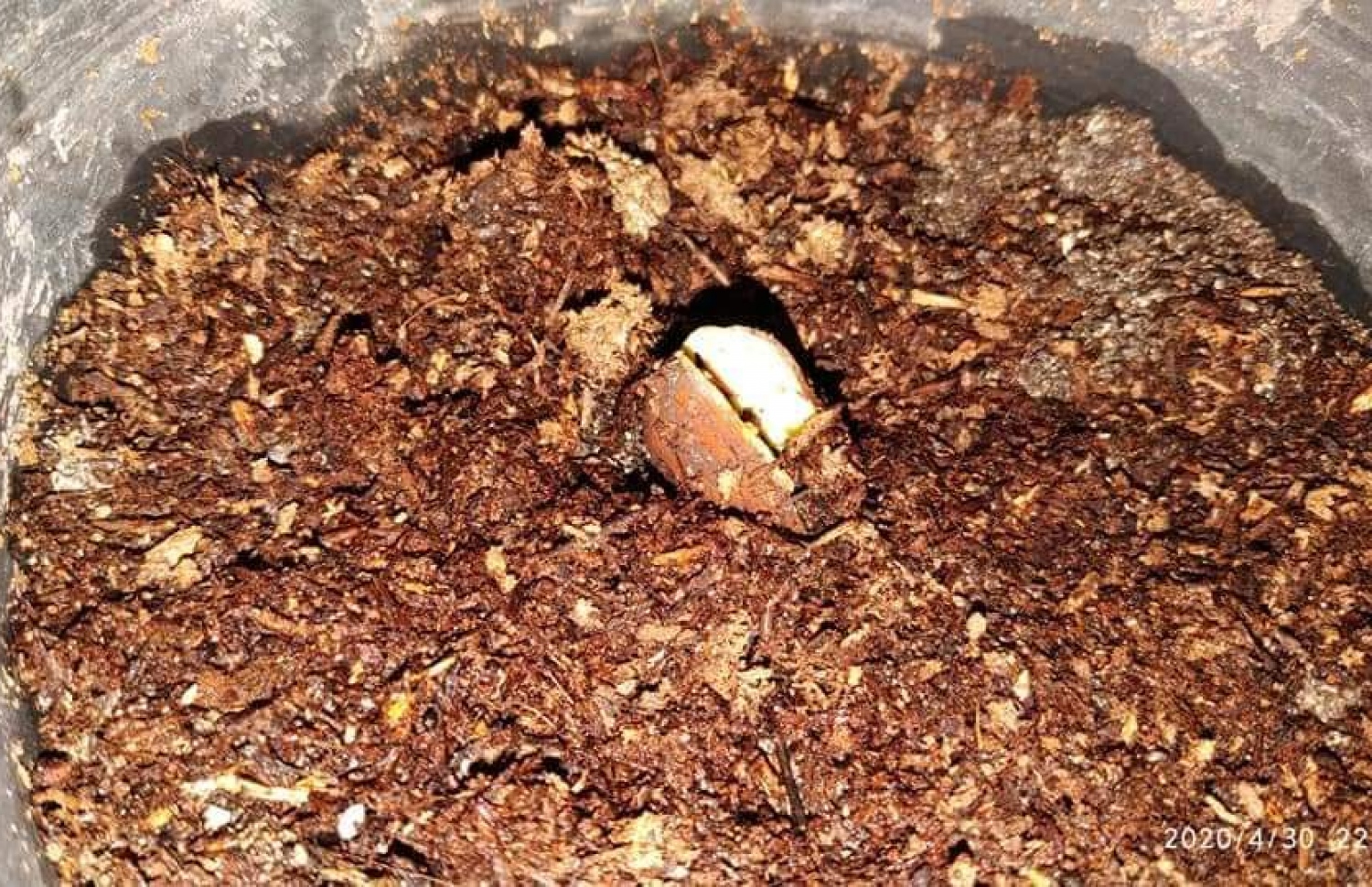 އާމަންޑު ގަސް ހެއްދުމަށް ތައްޔާރުވެފައި.-- ފޮޓޯ: އަހުމަދު ސާލިމް/ ފޭސްބުކް