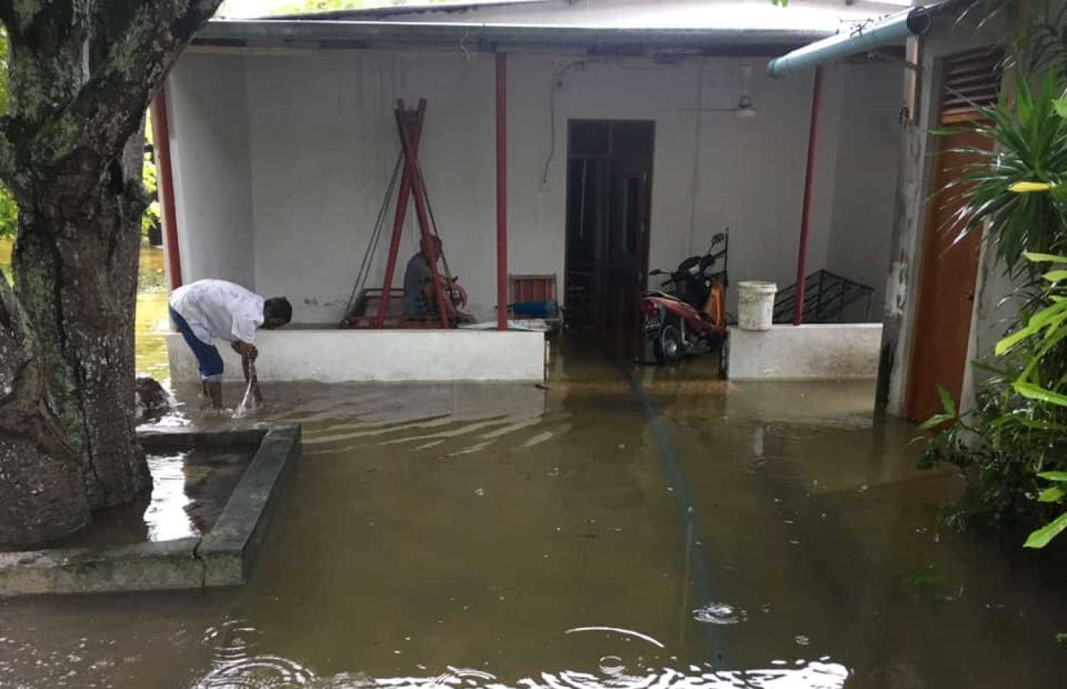 ފޭދޫގައި ފެންބޮޑުވެފައި. ފޮޓޯ/ އިބްރާހީމް ރަޝީދު.