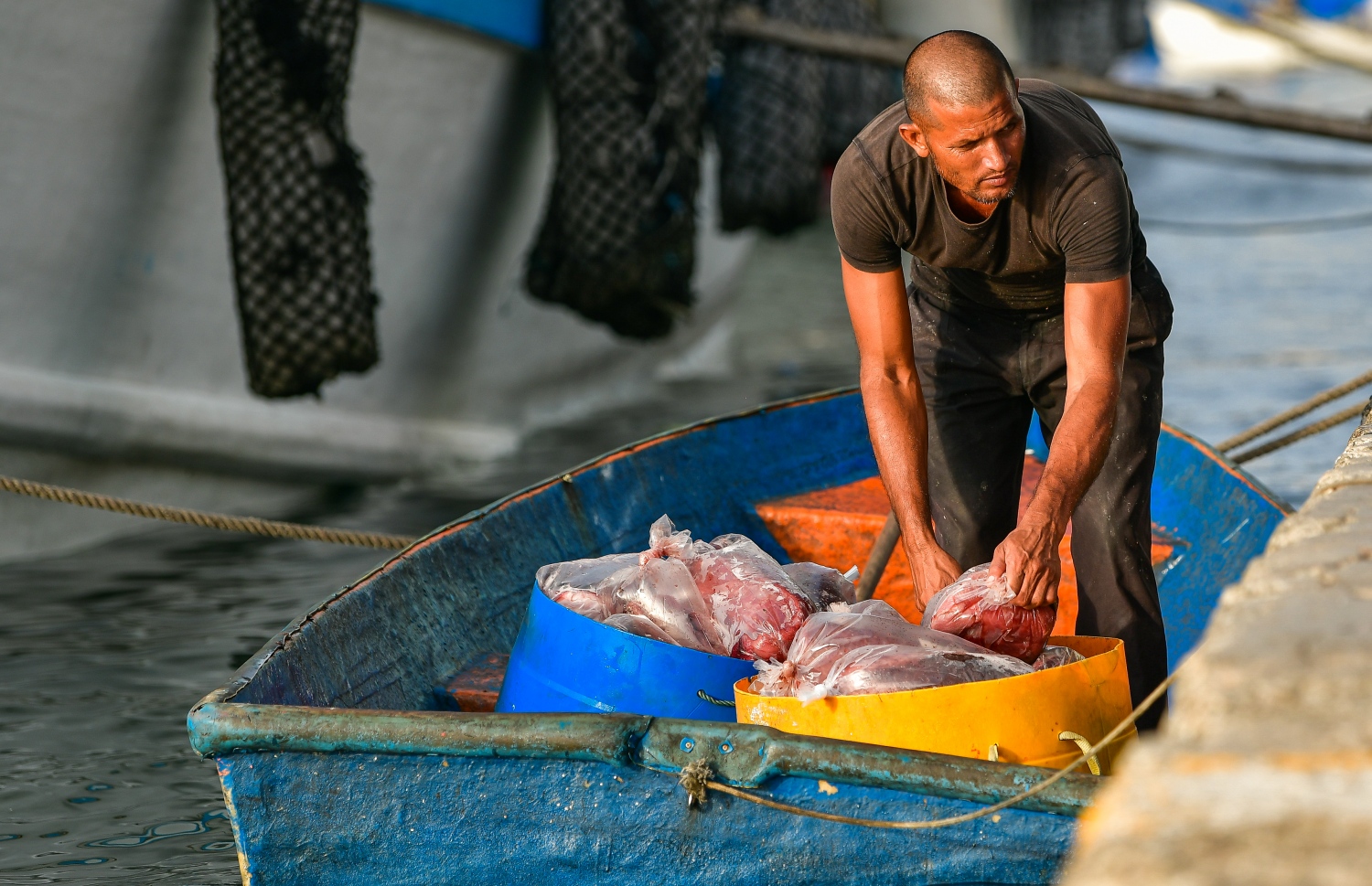 މާލެ: މޭ 14، 2020: ބާޒާރުމަތީ މަސްދޯނިތަކުން މަސްވިއްކުން-- ފޮޓޯ: އަހުމަދު އަވްޝަން / މިހާރު