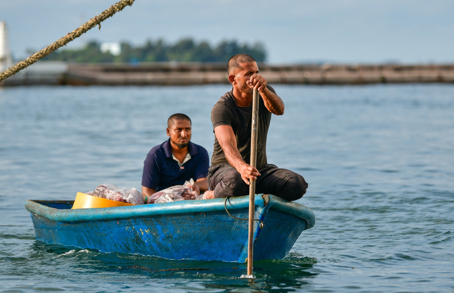 މާލެ: މޭ 14، 2020: ބާޒާރުމަތީ މަސްދޯނިތަކުން މަސްވިއްކުން-- ފޮޓޯ: އަހުމަދު އަވްޝަން / މިހާރު