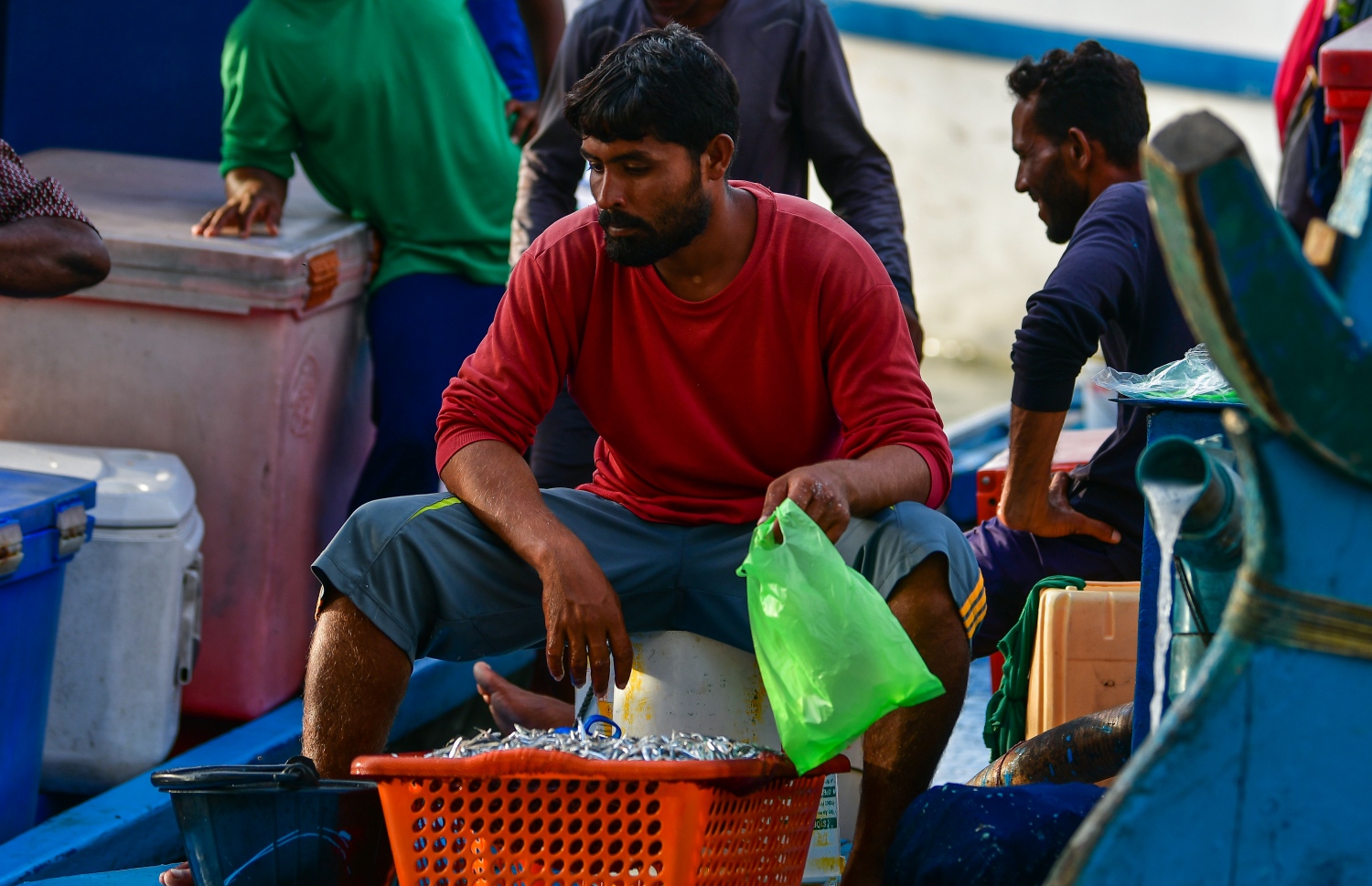 މާލެ: މޭ 14، 2020: ބާޒާރުމަތީ މަސްދޯނިތަކުން މަސްވިއްކުން-- ފޮޓޯ: އަހުމަދު އަވްޝަން / މިހާރު