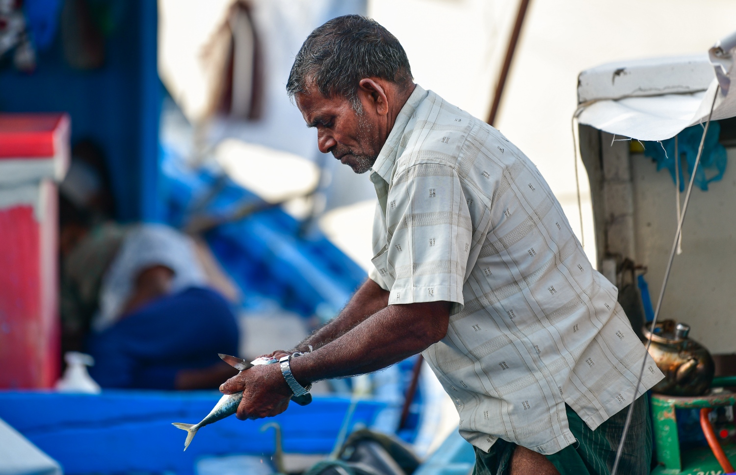 މާލެ: މޭ 14، 2020: ބާޒާރުމަތީ މަސްދޯނިތަކުން މަސްވިއްކުން-- ފޮޓޯ: އަހުމަދު އަވްޝަން / މިހާރު