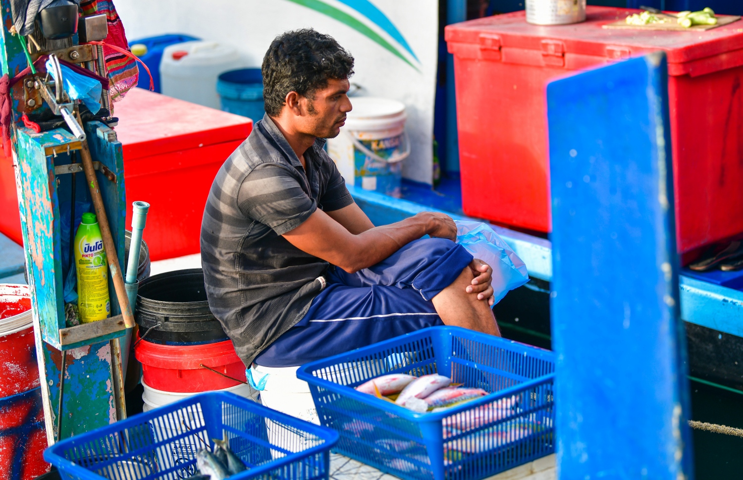 މާލެ: މޭ 14، 2020: ބާޒާރުމަތީ މަސްދޯނިތަކުން މަސްވިއްކުން-- ފޮޓޯ: އަހުމަދު އަވްޝަން / މިހާރު