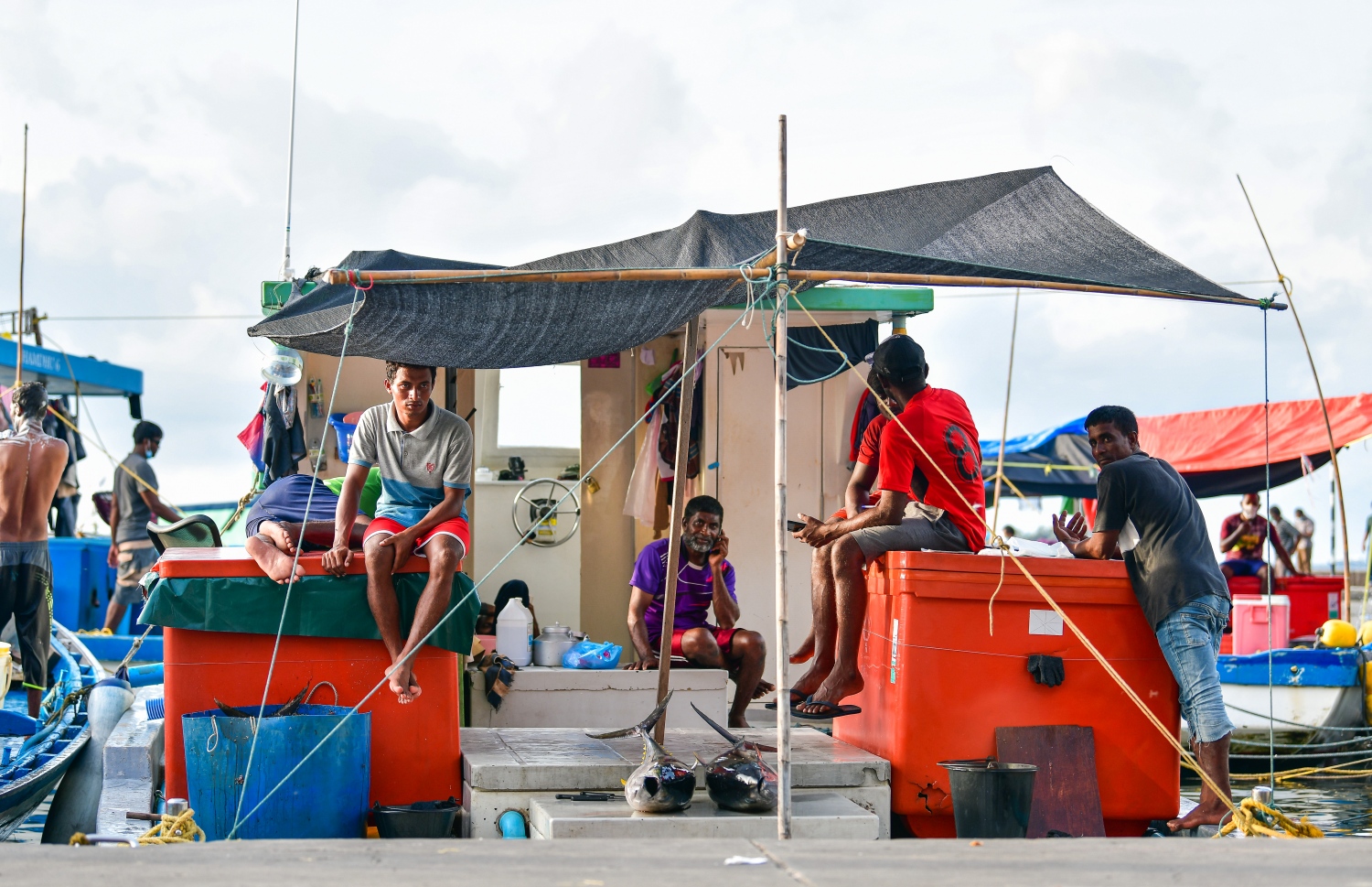 މާލެ: މޭ 14، 2020: ބާޒާރުމަތީ މަސްދޯނިތަކުން މަސްވިއްކުން-- ފޮޓޯ: އަހުމަދު އަވްޝަން / މިހާރު