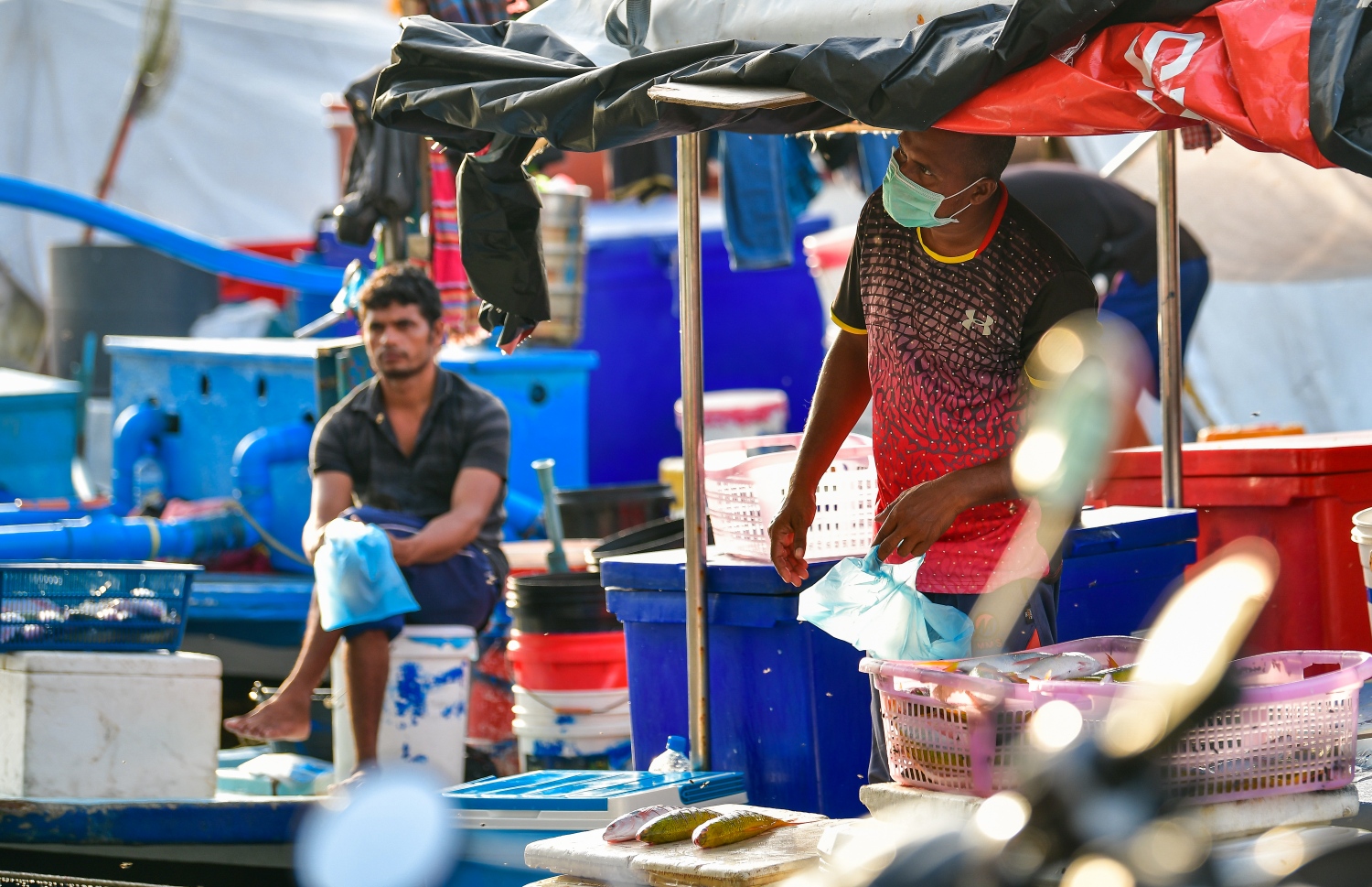 މާލެ: މޭ 14، 2020: ބާޒާރުމަތީ މަސްދޯނިތަކުން މަސްވިއްކުން-- ފޮޓޯ: އަހުމަދު އަވްޝަން / މިހާރު