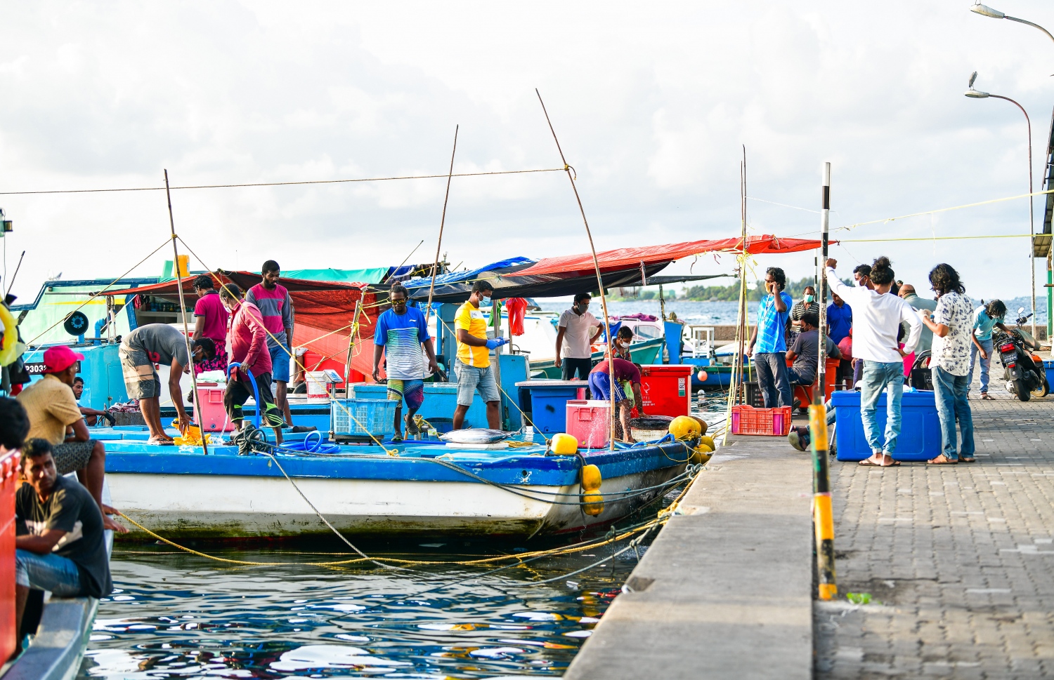 މާލެ: މޭ 14، 2020: ބާޒާރުމަތީ މަސްދޯނިތަކުން މަސްވިއްކުން.-- ފޮޓޯ: އަހުމަދު އަވްޝަން / މިހާރު