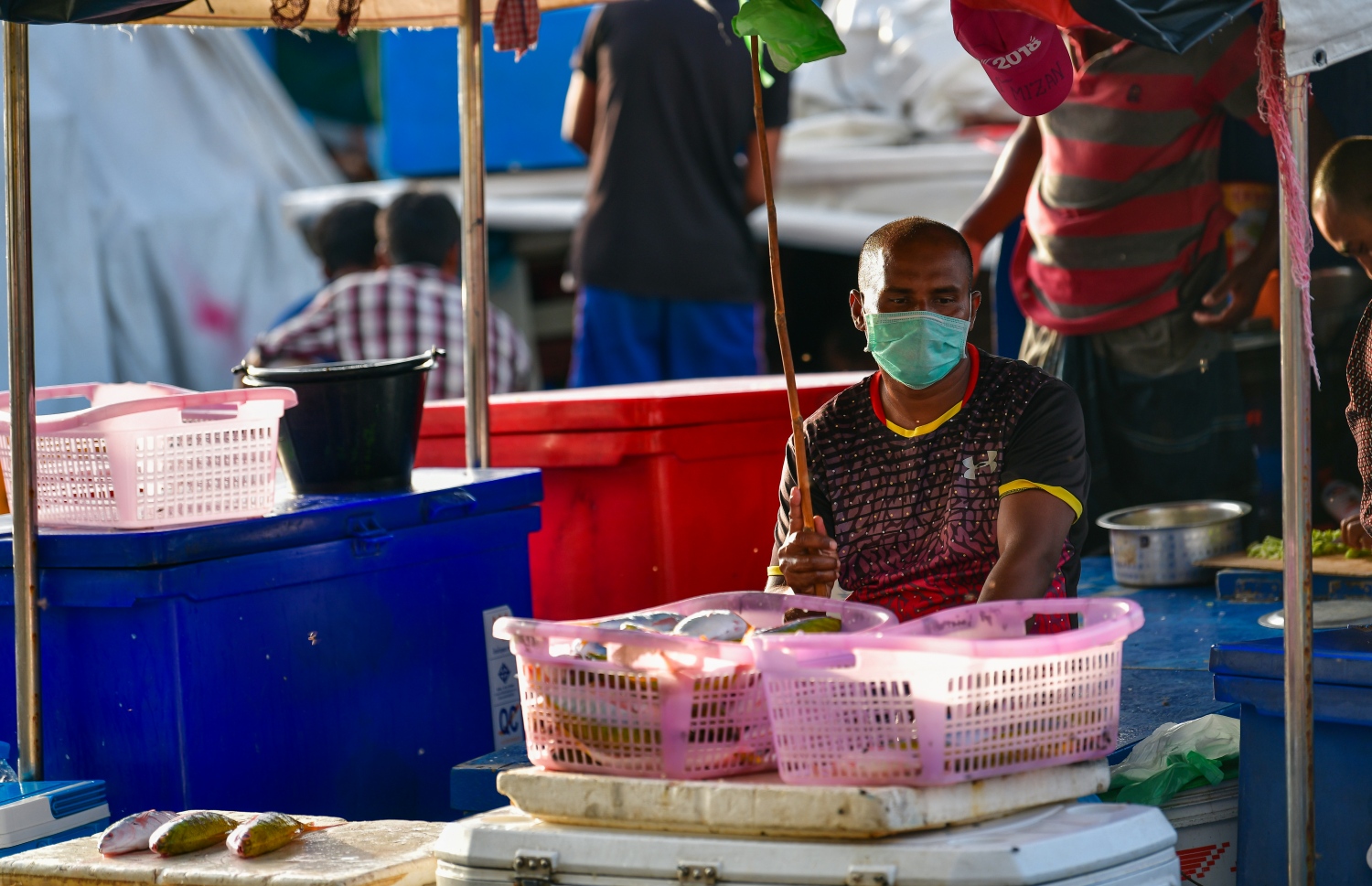 މާލެ: މޭ 14، 2020: ދޯނި ތެރޭގައި ފަޅުވެރިއަކު މަސްވިއްކުމަށް ތައްޔާރުވެފައި.-- ފޮޓޯ: އަހުމަދު އަވްޝަން / މިހާރު