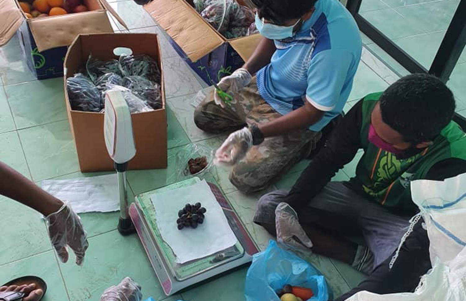 ށ. އަތޮޅު ރަށަކުން ނަރުދުއަށް ދިން މޭވާ ބެހުމަށް ކިރަނީ