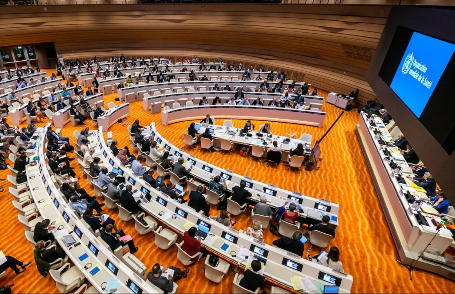 ޖެނީވާގައި މިއަދު ފެށި ވޯލްޑް ހެލްތު އެސެމްބްލީ. މިފަހަރުގެ މައުލޫއަކީ ކޮވިޑް-19 ރެސްޕޮންސް