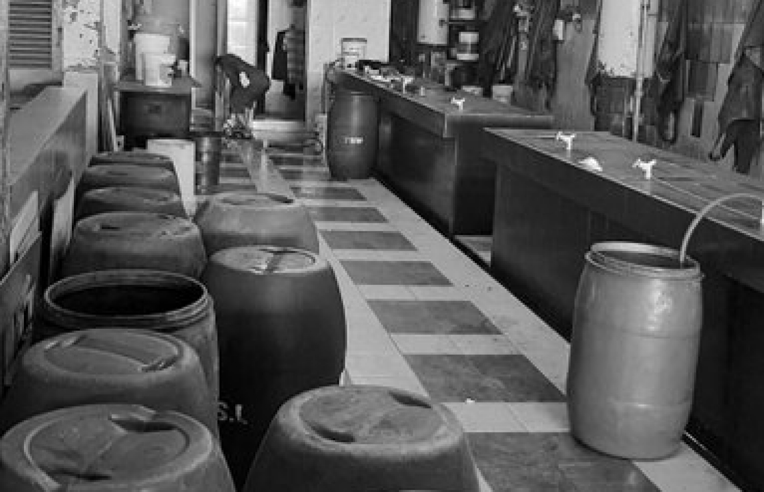 މަސް މާރުކޭޓް ސާފުކޮށްފައި-- ފޮޓޯ: މާލޭ ސިޓީ ކައުންސިލް