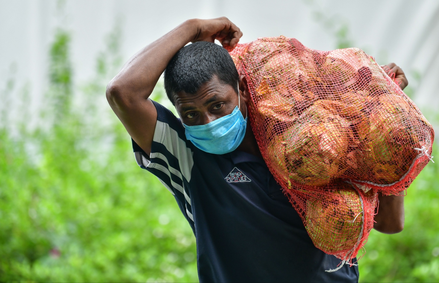 ހުޅުމާލެ: މެއި 21، 2020- ހުޅުމާލެ ލޮކްޑައުންގައި އޮތް އިރު، މާސްކް އަޅައިގެން ހުރި މީހަކު ބާޒާރުން ގެ އަށް ދަނީ.---ފޮޓޯ: ނިޝާން އަލީ/މިހާރު