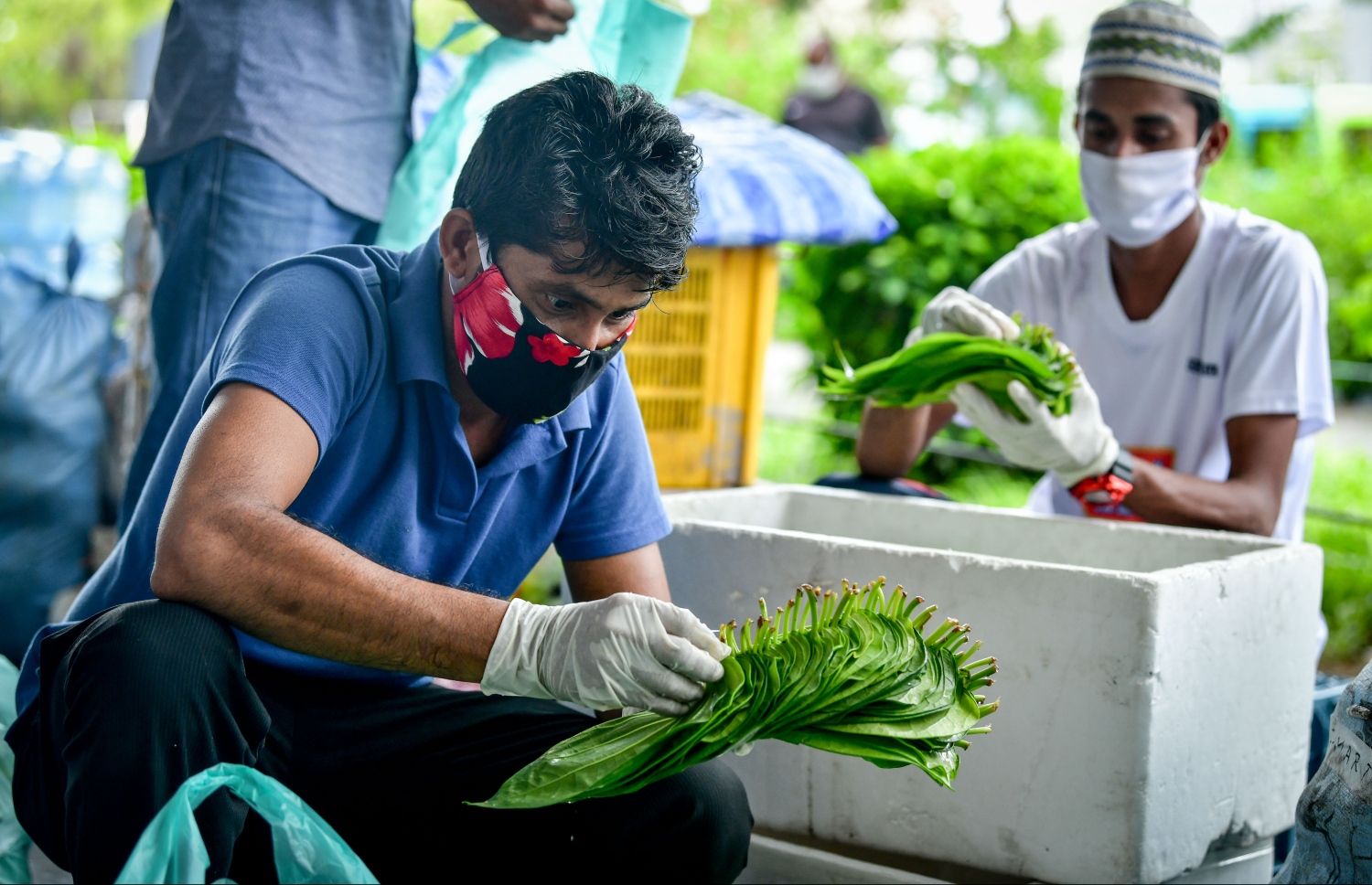 ހުޅުމާލެ: މެއި 21، 2020- ހުޅުމާލެ ލޮކްޑައުންގައި އޮތް އިރު، މި ރަށުގެ މާރުކޭޓުގައި ވިޔަފާރިކުރާ ބަޔަކު މާސްކް އަޅައިގެން މަސައްކަތުގައި: ކޮވިޑް-19 އިން ރައްކާތެރިވުމަށްޓަކައި، ބޭރުތެރޭގައި އުޅޭއިރު މާސްކް އެޅުމަށް ސިއްހީ މާހިރު ވަނީ ލަފާދީފައި..---ފޮޓޯ: ނިޝާން އަލީ/މިހާރު