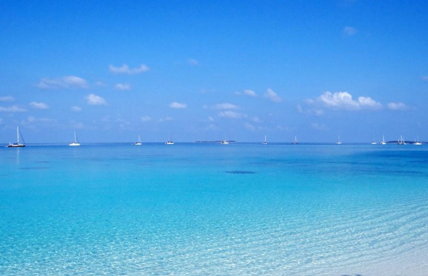 އުލިގަމުގައި ޔޮޓްތައް ބަނދަރުކޮށްފައި ހުރި ޔޮޓްތަކެއް އެ ރަށުން ފެންނަ ގޮތް. -- ފޮޓޯ: ސައިފް