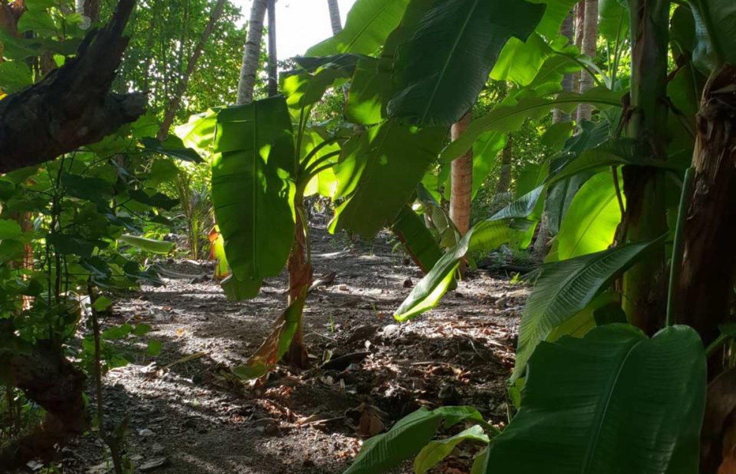 ކުއްޅަވައްފަލުގައި ހަމަލާ ދިން ތަން