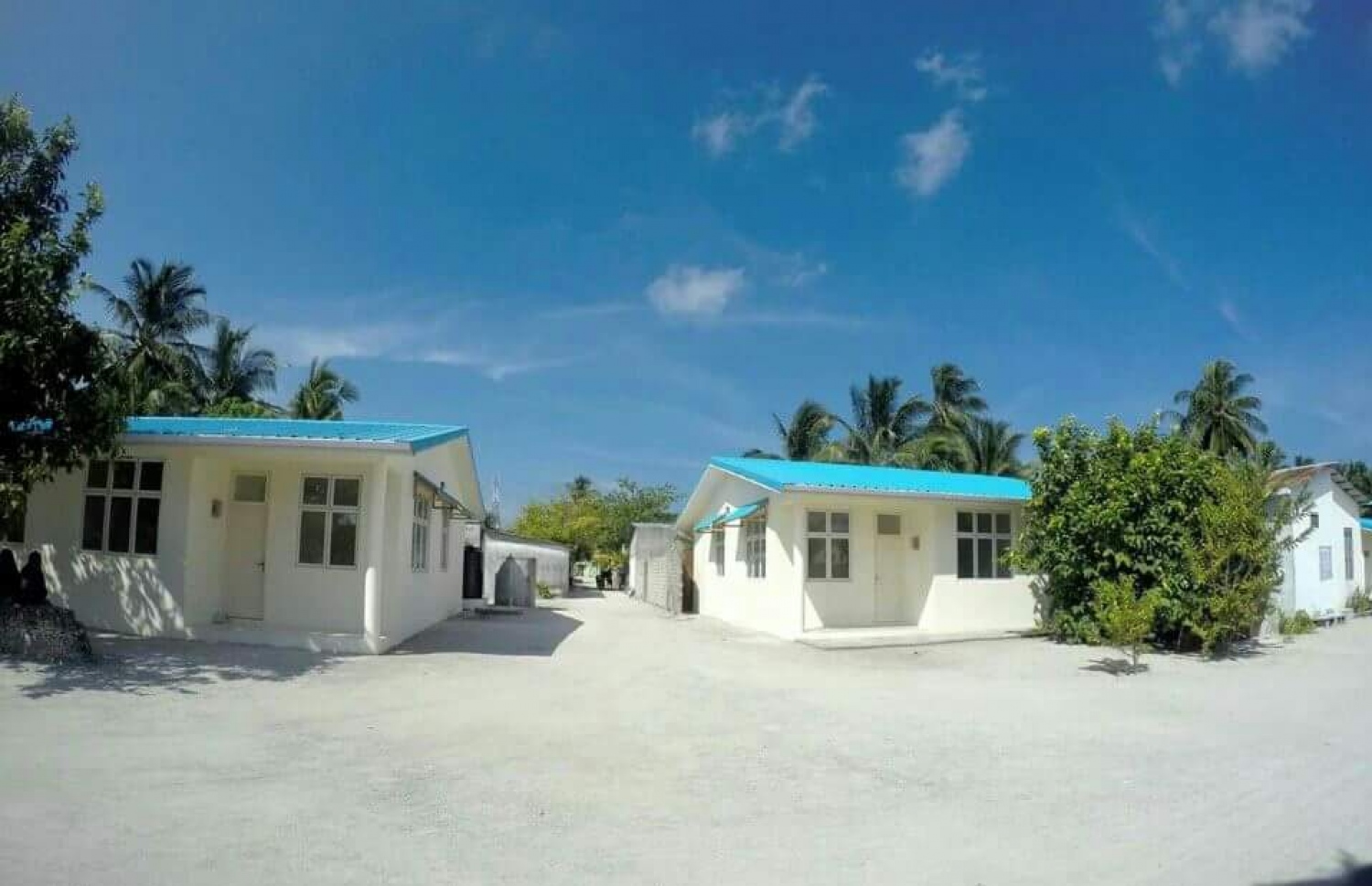 ގއ. މާމެންދޫ: މާރާމާރީ ތަހުގީގު ކުރަން ފުލުހުން އަންނަނީ އެ ރަށުގައި ހަރަކާތްތެރިވަމުން.