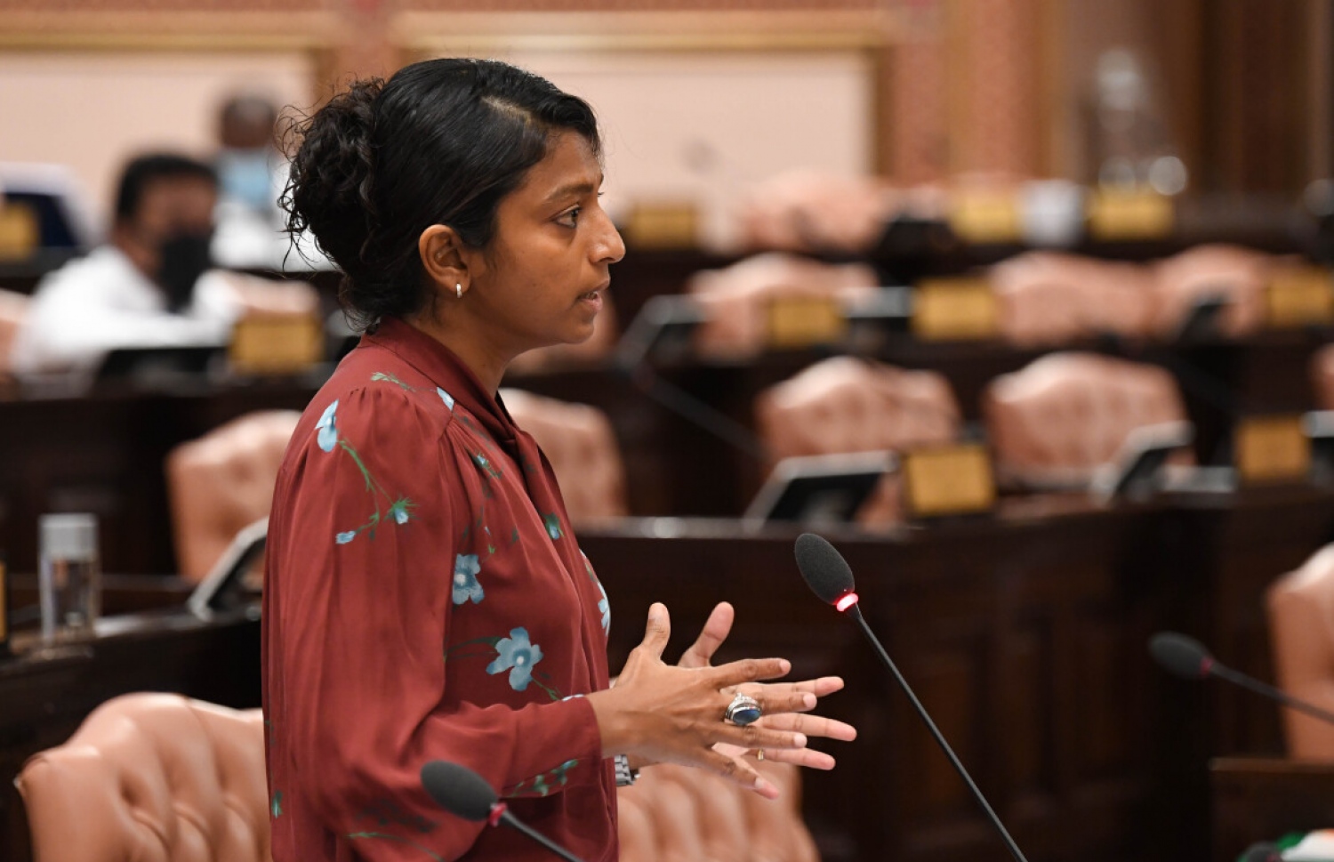 މަޖިލީހުގެ މިއަދުގެ ޖަލްސާގައި މެމްބަރު އީވާ ވާހަކަފުޅު ދައްކަވަނީ.---ފޮޓޯ: މަޖިލިސް