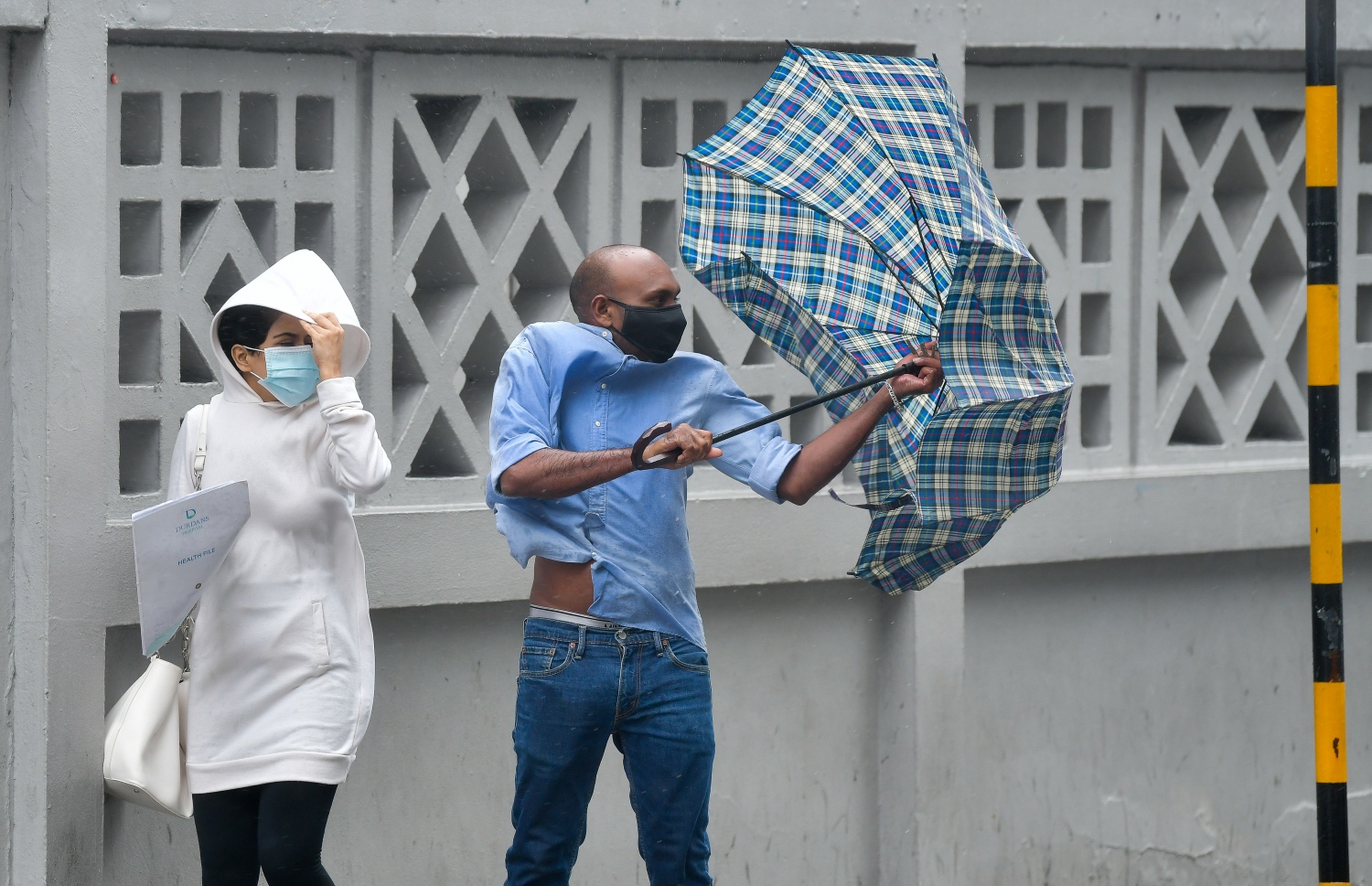 މޫސުން ގޯސްވެ، ކަނޑުގަދަވުން