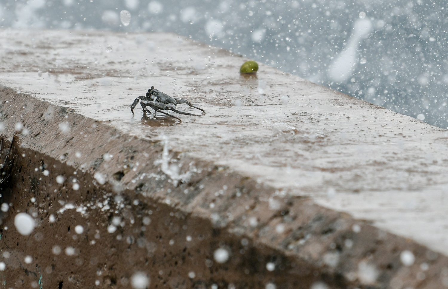 މާލެ: ޖުލައި 19، 2020: މޫސުން ގޯސްވެ، ކަނޑުގަދަވުން: މުޅި ރާއްޖެ އަށް ވަކި ވަގުތުތަކެއްގައި ވިއްސާރަކޮށް، ރާޅުއަރާފާނެ ކަމަށް މޫސުމާ ބެހޭ އިދާރާ އިން ލަފާކުރޭ.-- ފޮޓޯތައް: އަހުމަދު އަވްޝަން އިލްޔާސް /މިހާރު