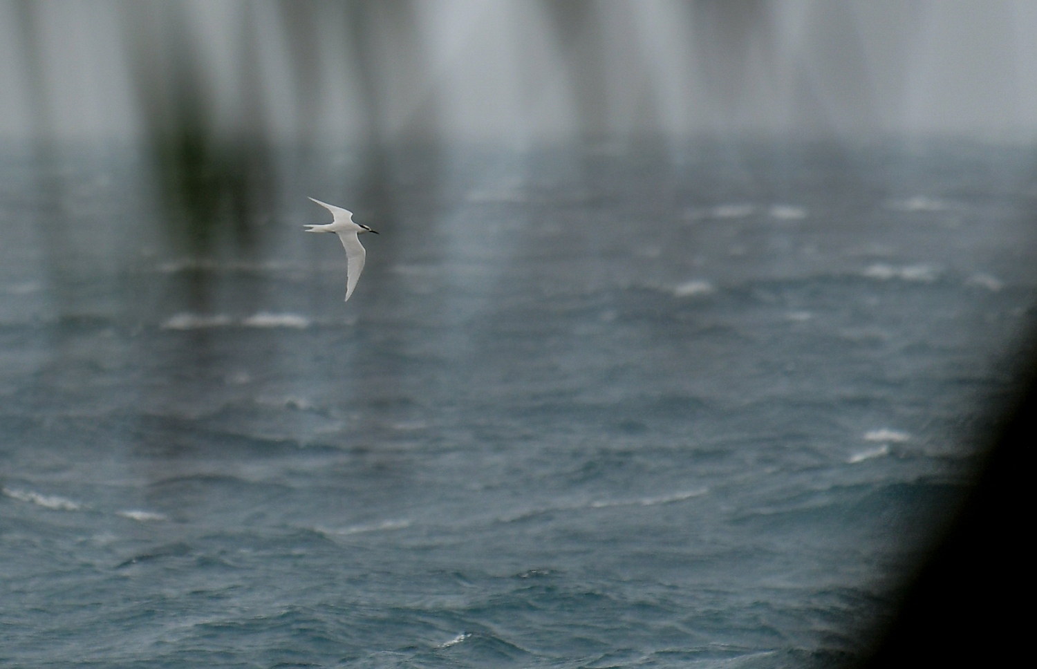 މާލެ: ޖުލައި 19، 2020: މޫސުން ގޯސްވެ، ކަނޑުގަދަވުން: މުޅި ރާއްޖެ އަށް ވަކި ވަގުތުތަކެއްގައި ވިއްސާރަކޮށް، ރާޅުއަރާފާނެ ކަމަށް މޫސުމާ ބެހޭ އިދާރާ އިން ލަފާކުރޭ.-- ފޮޓޯތައް:ނިޝާން އަލީ /މިހާރު