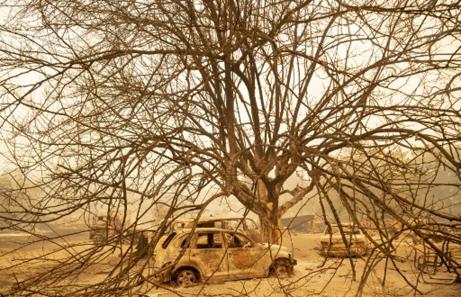 އެމެރިކާގެ ކެލިފޯނިއާ އަށް ކުރިމަތިވި ހޫނުގެ ސަބަބުން ގަސްތަކެއްގައި ރޯވެ އަނދާފައި.