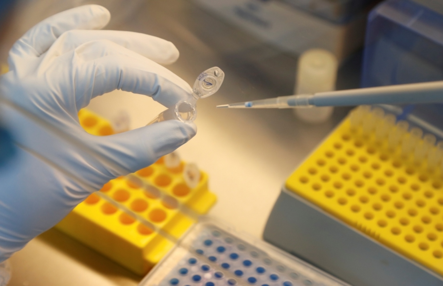 ދުނިޔެ ހުއްޓުމަކަށް ގެނެސްފައިވާ ކޮވިޑް-19އާ ދެކޮޅަށް ދުނިޔޭގެ ބޮޑެތި ބޭސް ކުންފުނިތަކުން ވެސް އަންނަނީ ވެކްސިން އީޖާދުކުރަމުން