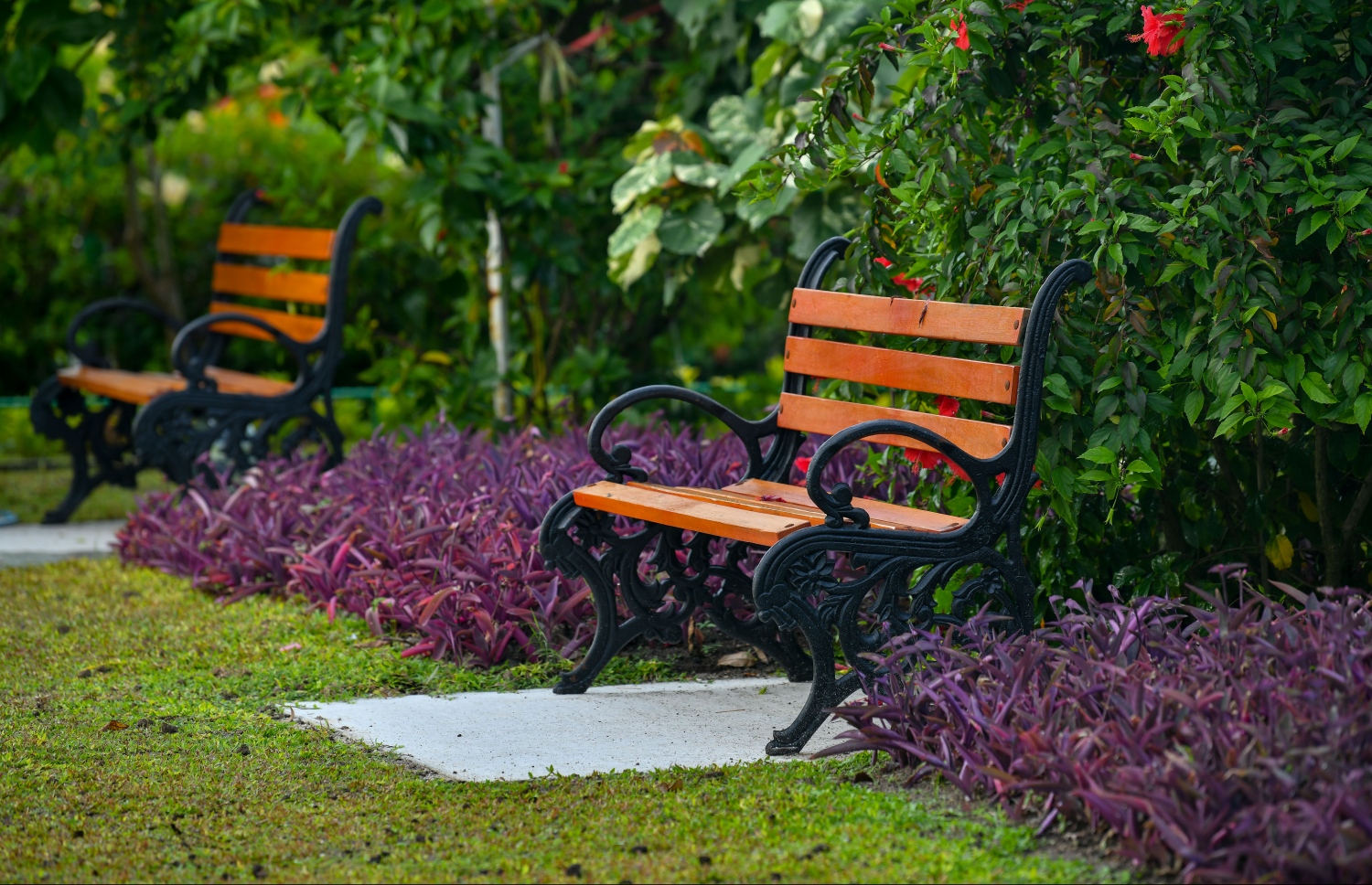 އަލަށް ހަދާ ޕާކްގައި ހުރި ގޮނޑިތަކެއް: ފެހިކަން ބޮޑު ޕާކްތައް މަދު މާލޭގައި ލޮނުޒިޔާރަތްކޮޅު މި ޕާކް ވާނީ މީހުން މަޑުކޮށްލައިގެން ތިބެން ހިތްފަސޭހަ ތަނަކަށް. ފޮޓޯ: ނިޝާން އަލީ/މިހާރު