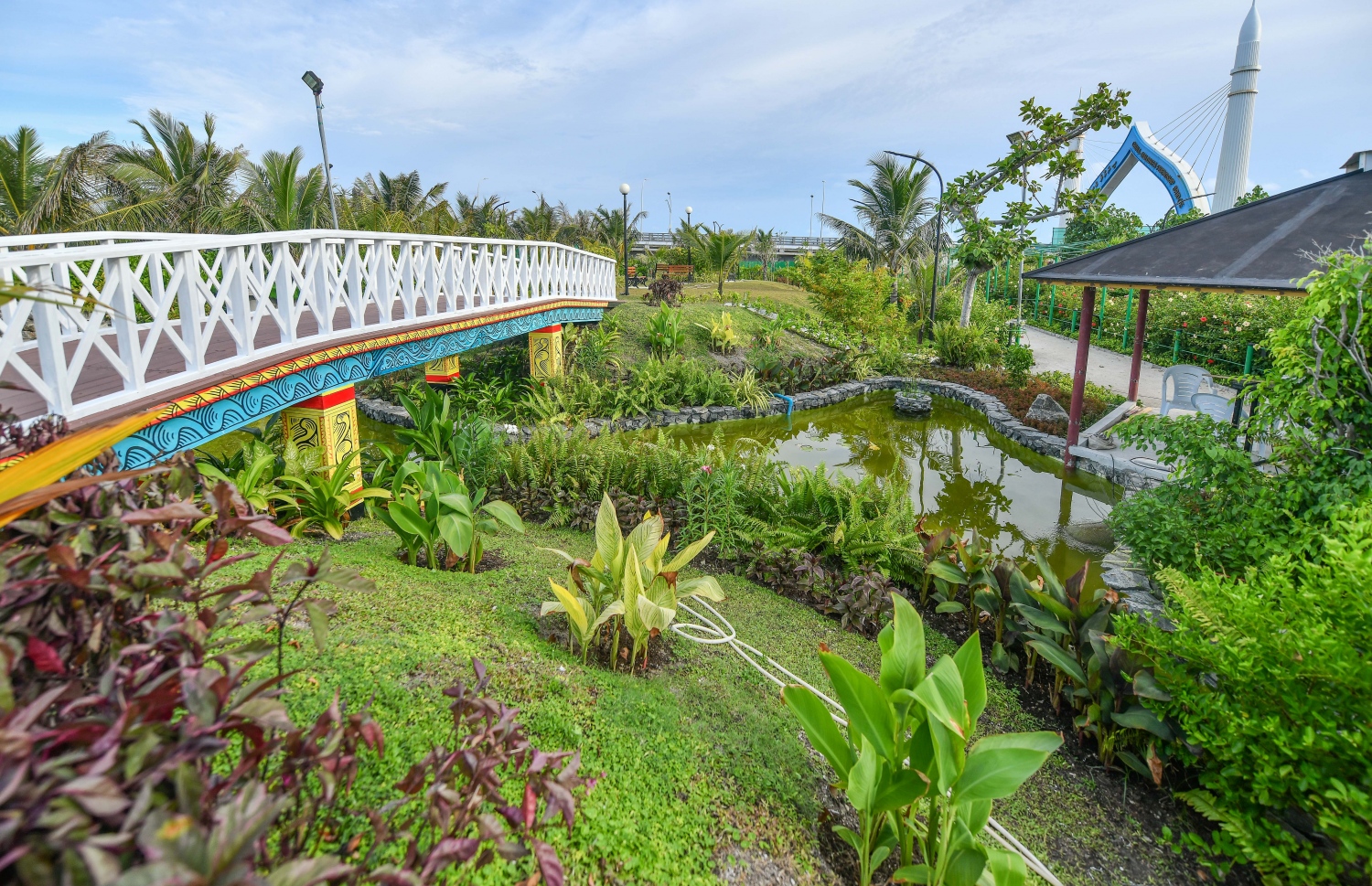 ލޮނުޒިޔާރަތްކޮޅަކީ ކުރިން ނަމަ މިކަހަލަ ފެހި ކަމެއް ފެންނާނެ ސަރަހައްދަކަށް ވެދާނެ ކަމަށް އެކަކު ވެސް ހިއެއް ނުކުރާނެ: އެކަމަކު އެކި ކަހަލަ ގަސްތަކާއި މާތަކުން މަންޒަރު މިވަނީ ބަދަލުވެފައި --މިހާރު ފޮޓޯ: ނިޝާން އަލީ