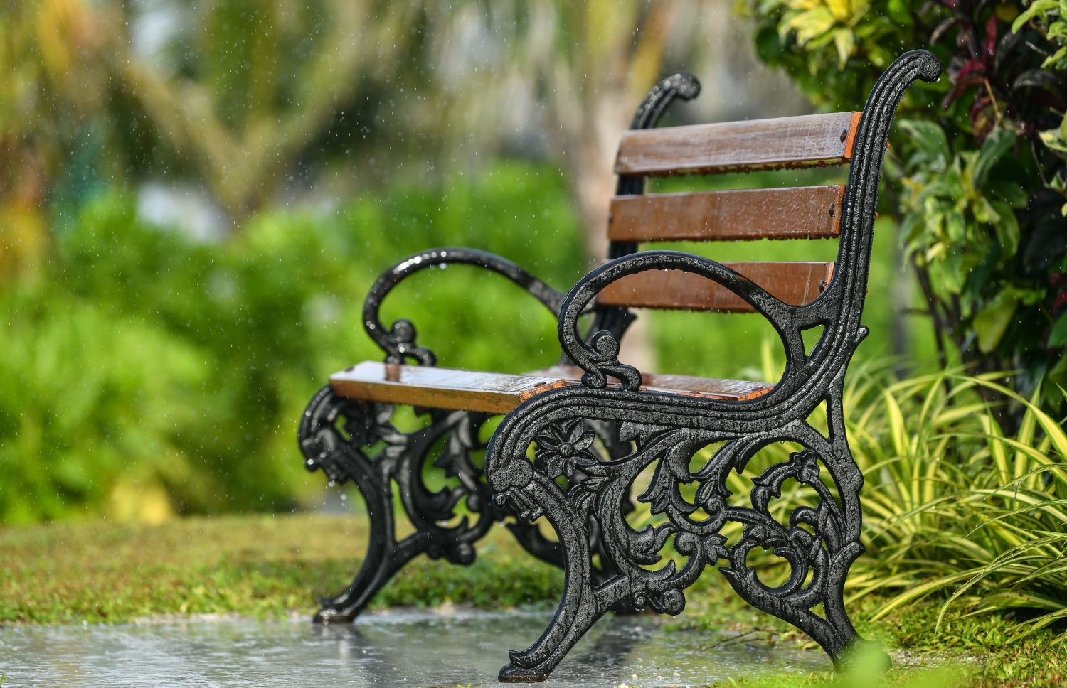 މި ގޮނޑީގައި އާންމުންނަށް އިށީދެވޭނީ ކޮން ދުވަހަކުން ބާ؟ މާލޭ ސިޓީ ކައުންސިލުން ބުނާ ގޮތުގައި ކޮވިޑްގެ މި ދުވަސްވަރަކީ ޕާކެއް ހުޅުވަން އެކަށީގެންވާ ދުވަސްވަރެއް ނޫން --ފޮޓޯ: ނިޝާން އަލީ/މިހާރު