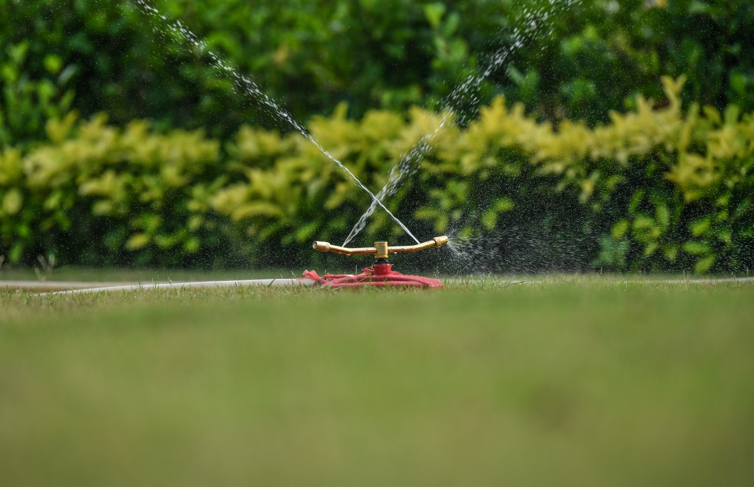 ލޮނުޒިޔާރަތްކޮޅު ޕާކްގެ ވިނަގަނޑަށް ފެން ޖަހަނީ: ޕާކް ފެހިކުރަން މިހާތަނަށް ބޮޑު ހޭދައެއްކޮށް، އެހާ ބުރަ މަސައްކަތްތަކެއް ވެސް ވަނީ ނިންމާފައި -- ފޮޓޯ: ނިޝާން އަލީ/މިހާރު