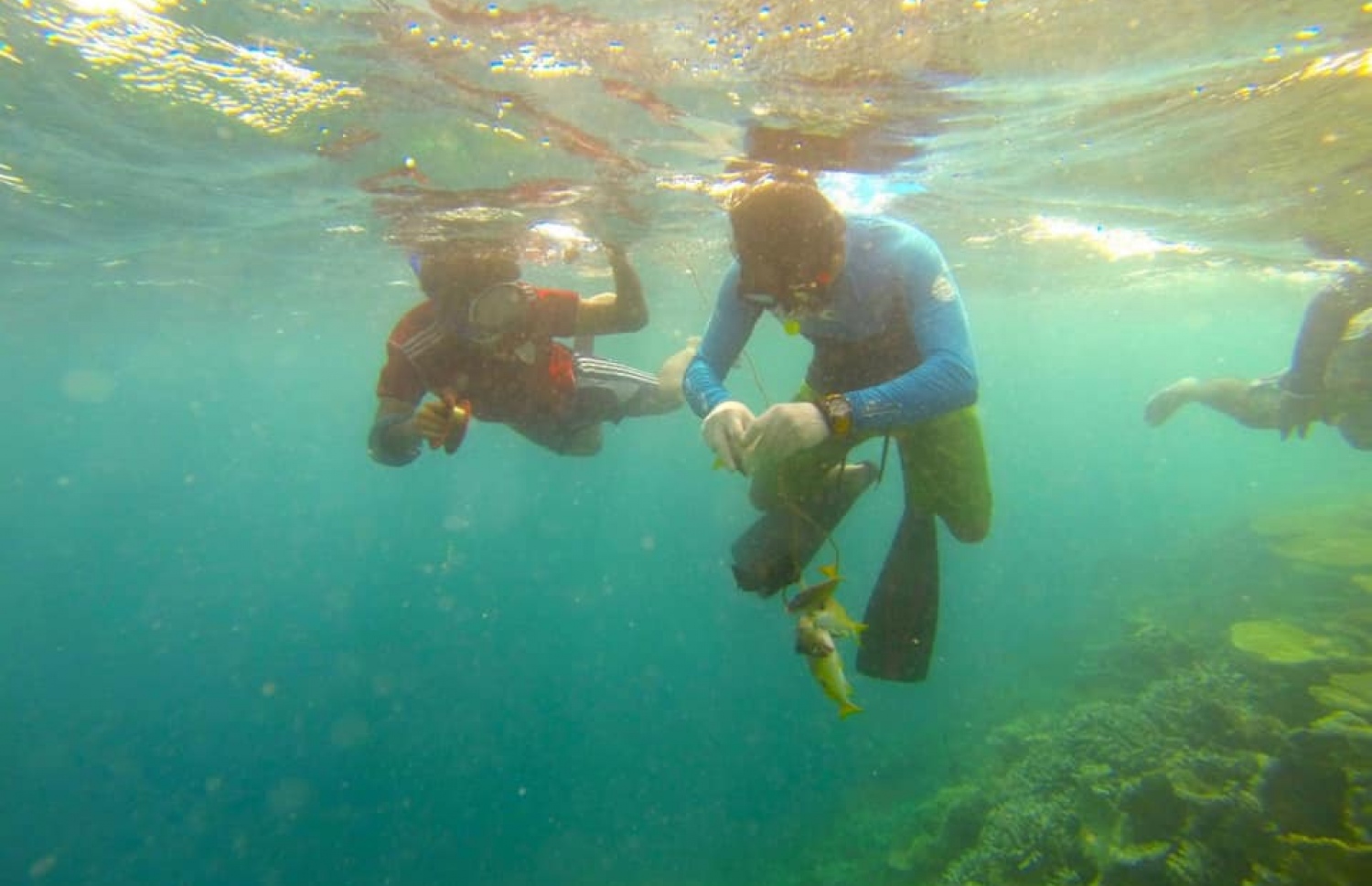 ޝައްފާނާއި ރިލްވާން ފީނަނީ: ޝައްފާން 30 މީޓަރަށް ފީނާފައިވޭ