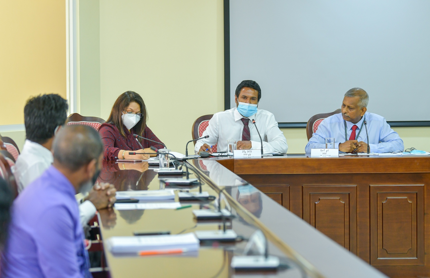 ގަވަރުނަރު އަލީ ހާޝިމް (ކ) އަދި ޑެޕިއުޓީ ގަވަރުނަރު އަހުމަދު އިމާދު މަޖިލިހުގެ މާލިއްޔަތު ކޮމިޓީގައި