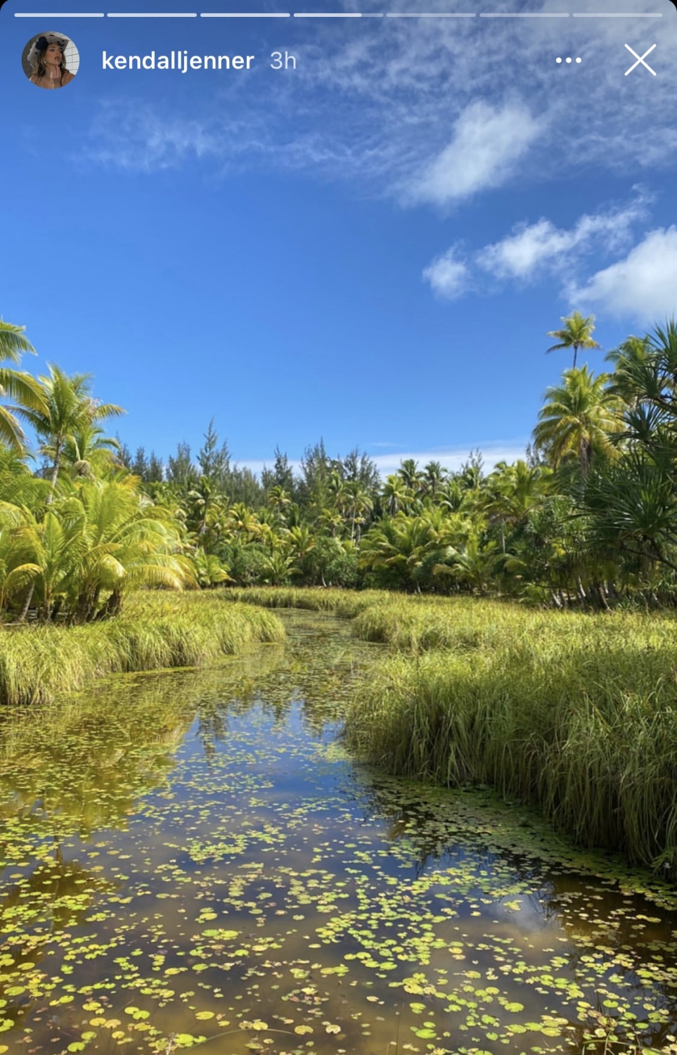 ފޮޓޯ: ކެންޑަލް ޖެނާ އިންސްޓަ ސްޓޯރީ