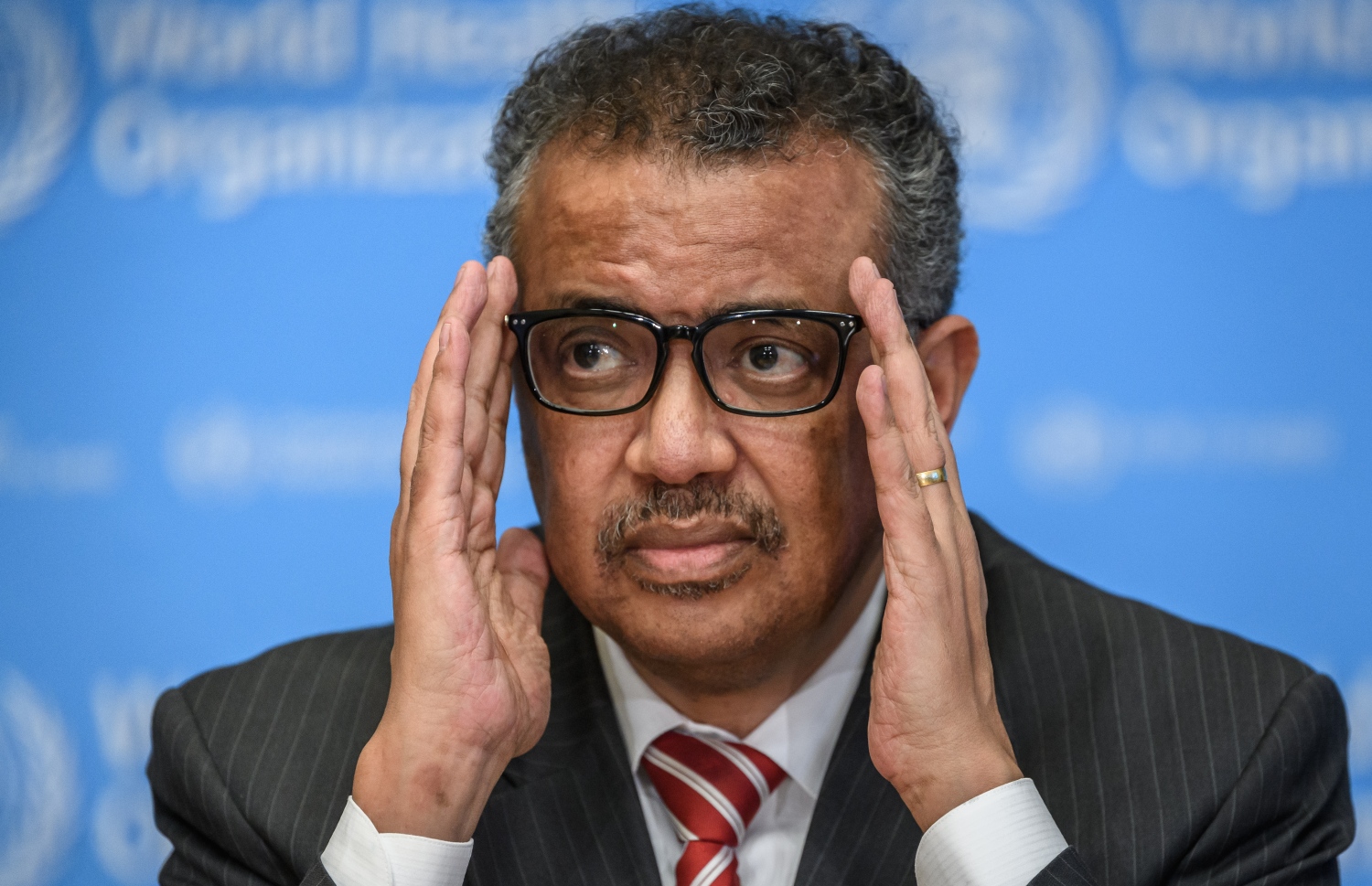 ޑެބްލިއުއެޗްއޯގެ ޑިރެކްޓަރު-ޖެނެރަލް.