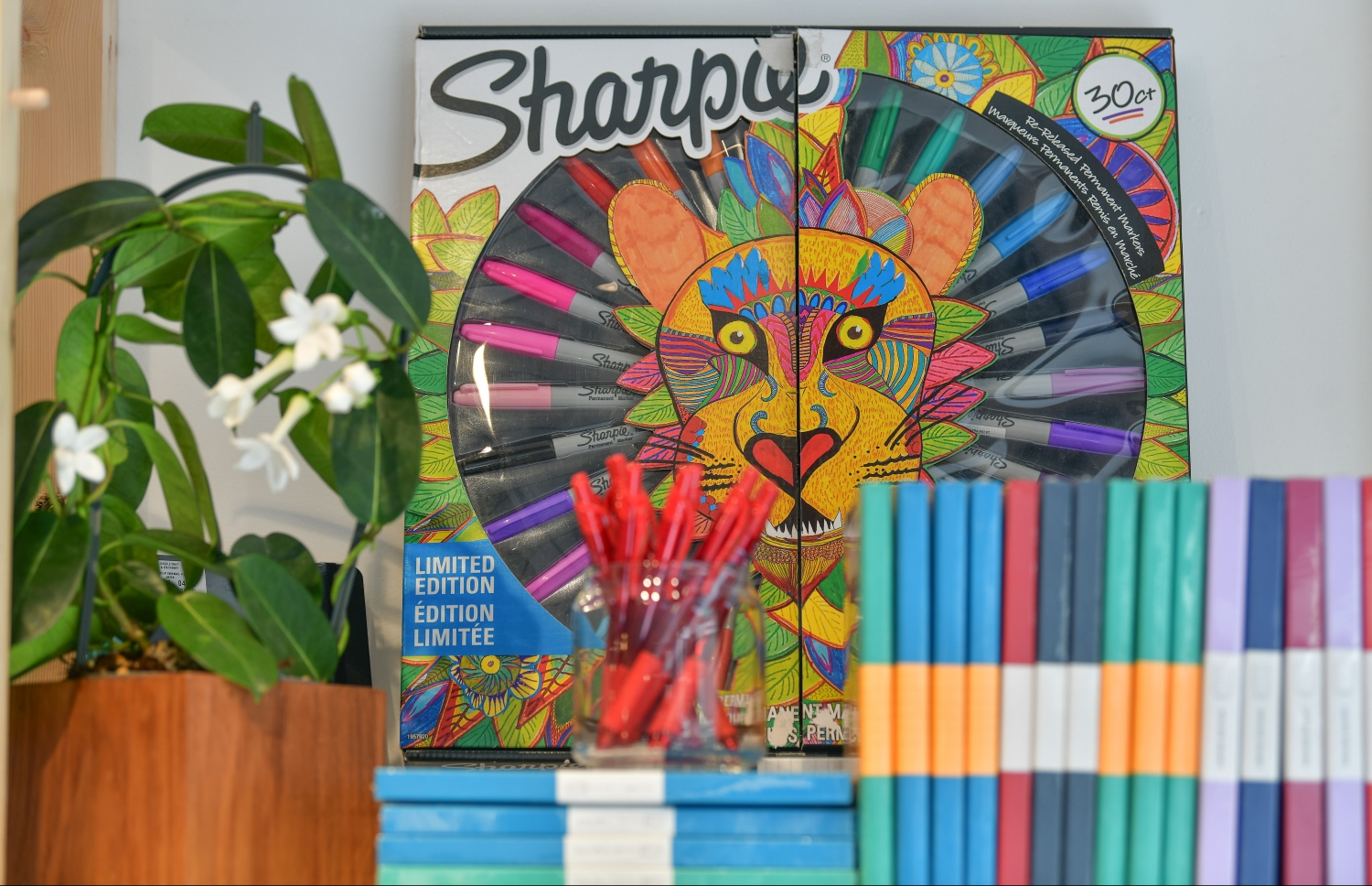 މާލެ: ނޮވެމްބަރު 5، 2020: ފެންވަރު ރަނގަޅު ސްޓޭޝަނަރީ އާއި އާޓް ސަޕްލައިޒް ރާއްޖެ އެތެރެކޮށް ވިއްކާ ޑޫޑުލް ކްރާފްޓް އެންޑް ސްޓޭޝަނަރީގެ އާ ފިހާރައެއް ލިލީމަގުގައި ހުޅުވުން: މި ފިހާރަ ހުންނާނީ ލިލީމަގު، ދިވެހި އިންޝުއަރެންސް ކުރިމައްޗަށް ވާގޮތަށް. މިތަން ފަރުމާކޮށްފައިވަނީ ޖާގަ ބޮޑުކޮށް، ކަސްޓަމަރުންނަށް ފަސޭހައިން ތަކެތި ފެންނާނެހެން. މިއީ ޑޫޑުލް އިން މާލޭގައި ހުޅުވި ދެވަނަ ފިހާރަ.-- ފޮޓޯ: ނިޝާން އަލީ މިހާރު