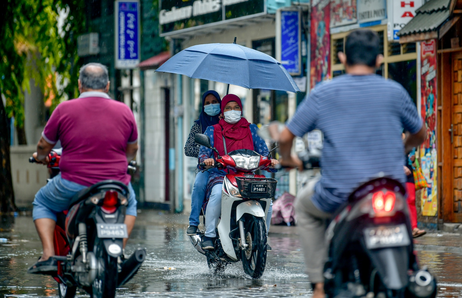 ވިއްސާރަވެ މޫސުން ގޯސްވުން