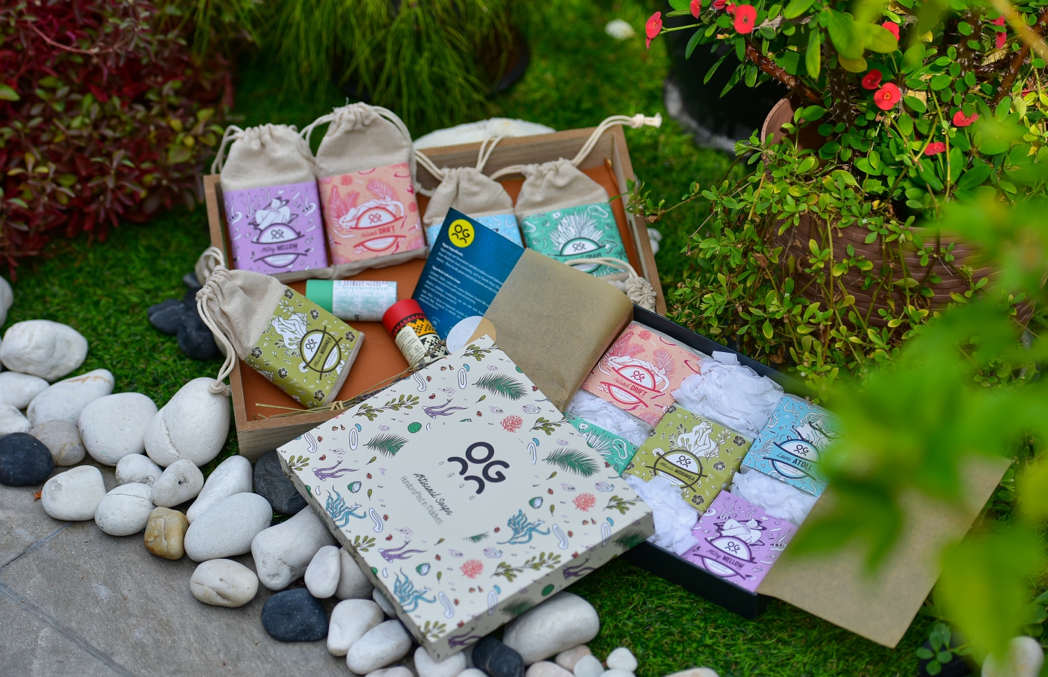 "އޯގާ" ގެ ބައެއް އުފަެއްދުންތައް-- ފޮޓޯ: އަހުމަދު އަވްޝަން/ މިހާރު