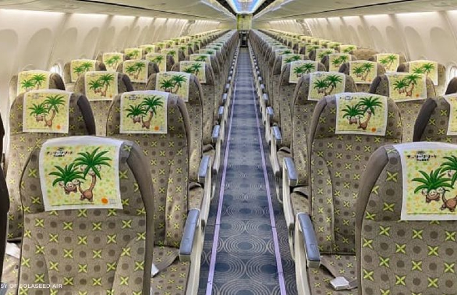 ޕޯކެމަން ތީމުގެ ވައިގެ ދަތުރުގެ ތެރެއިން.