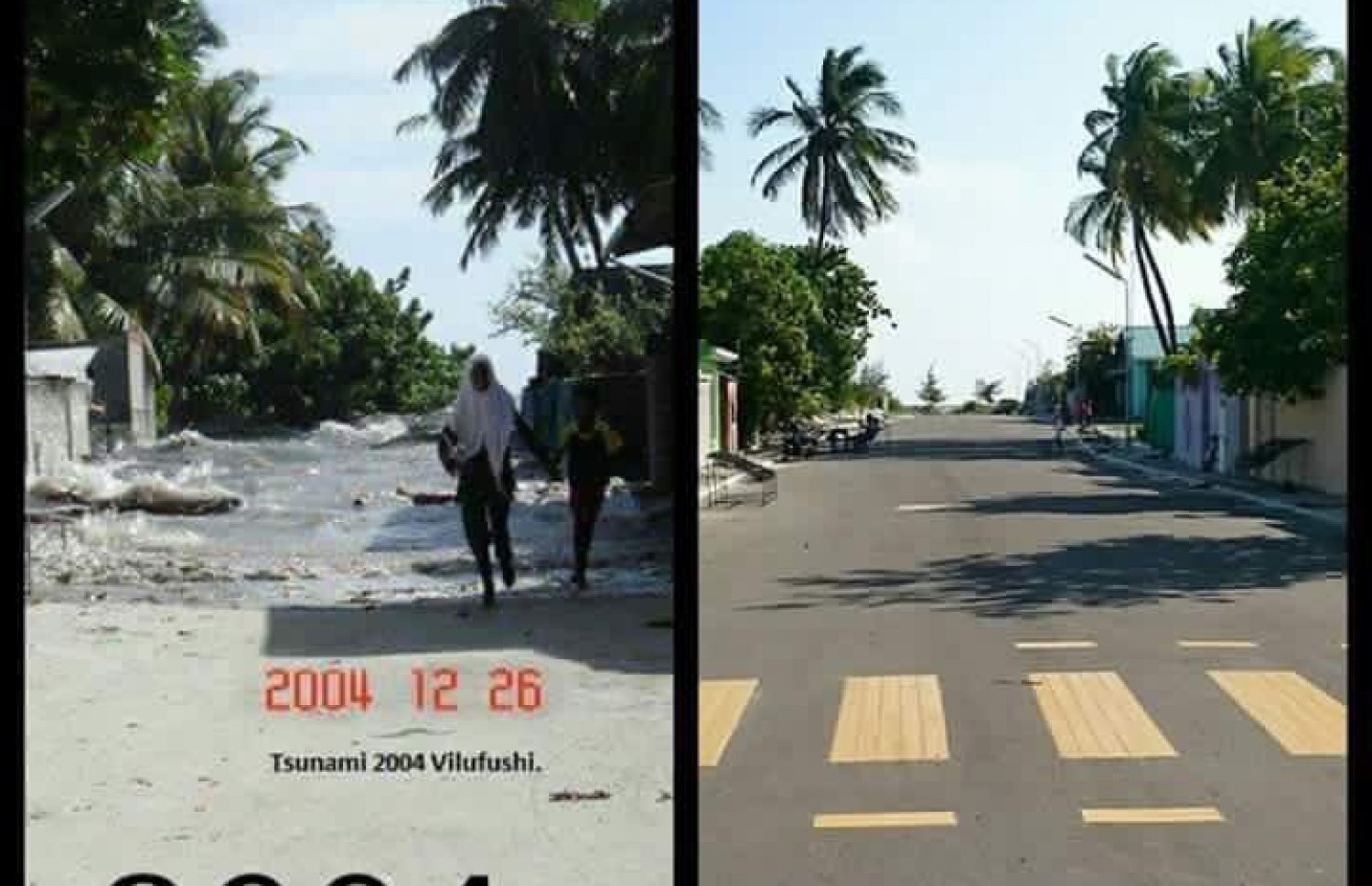 ވިލުފުއްޓަށް ސުނާމީ އެރި މަގު އޭރާއި މިހާރު އޮތް ގޮތް -- ފޮޓޯ: ޓްވިޓާ/ އަހުމަދު ނިހާން