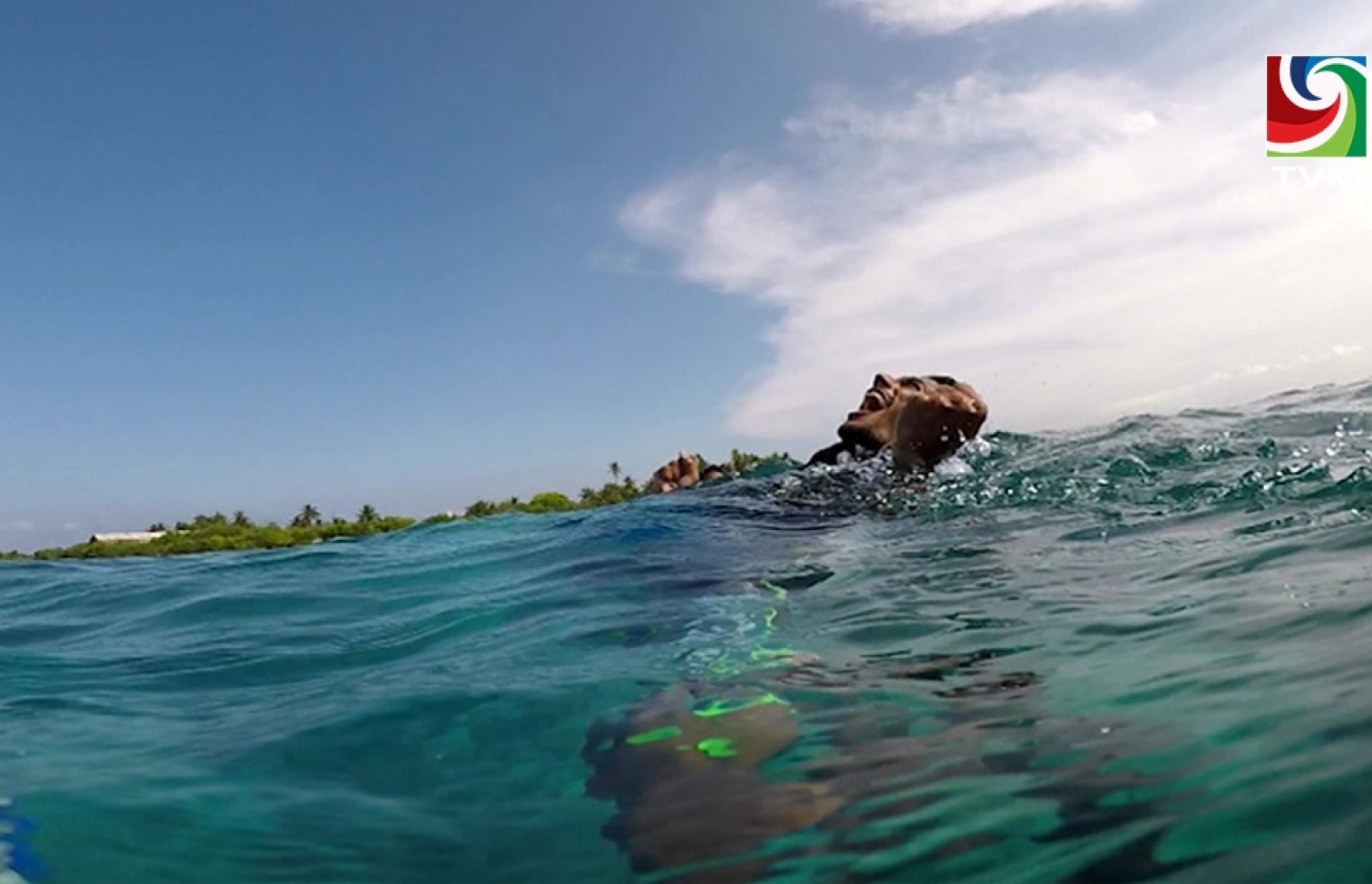 ހަޔާތުގައި ނާއިލް ކުރި ފުރަަތަމަ އަދި އެންމެ ފަހު ޑައިވަށް ފަހު މައްޗަށް އަރައި އުފާ ފާޅުކުރަނީ: ކުރަން ބޭނުންވި ގިނަ ކަންކަން އެ ދަތުރުގައި އޭނާ ވަނީ ކޮށްފައި