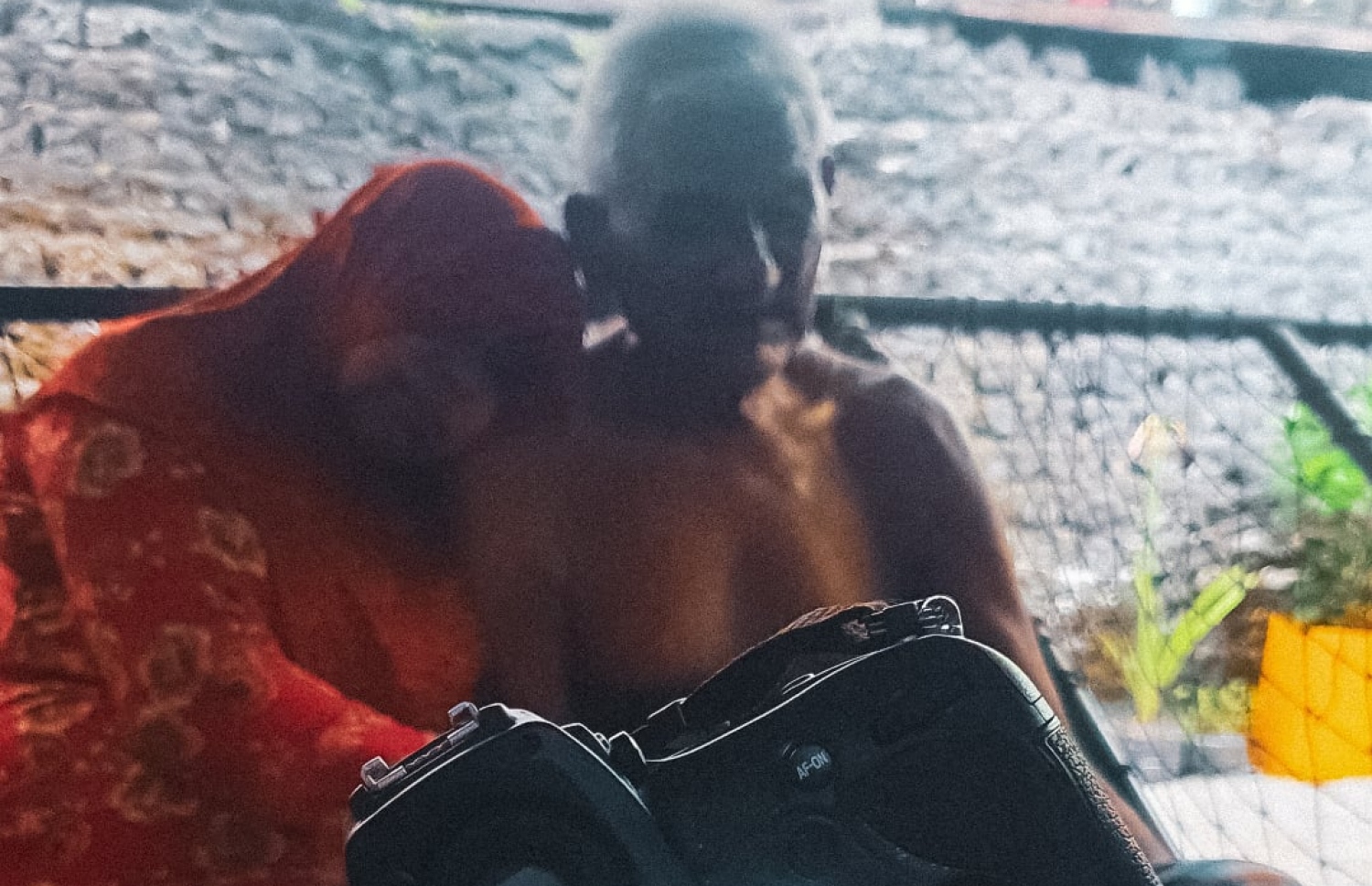 ނައުޝަމް ނަގާފައިވާ ދެމަފިރިންގެ ފޮޓޯއެއް