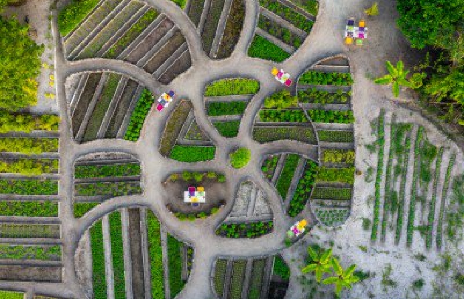 ސޮނެވާ ޖާނީގެ އޮގޭނިކް ގާޑެން: މި ހުންނަނީ އާދައިގެ ބަޔަކަށް ހަމަ ލޮލުން ފެންނާނެ ތަންތަނެއް ނޫން