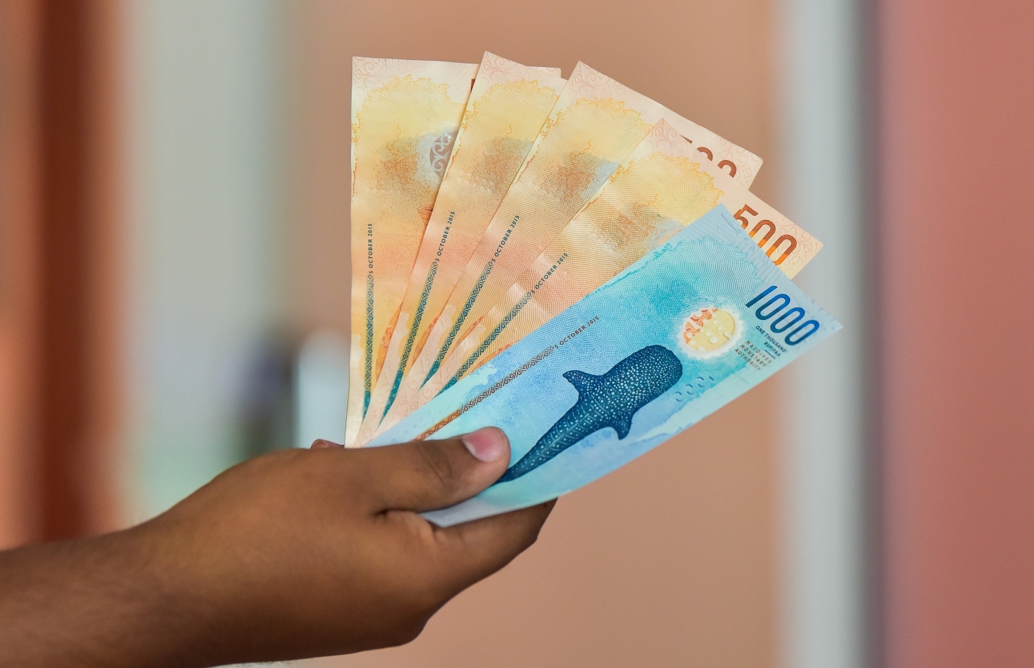 މީހަކު ފައިސާތަކެއް ގެންގުޅެނީ --- ފޮޓޯ/މިހާރު