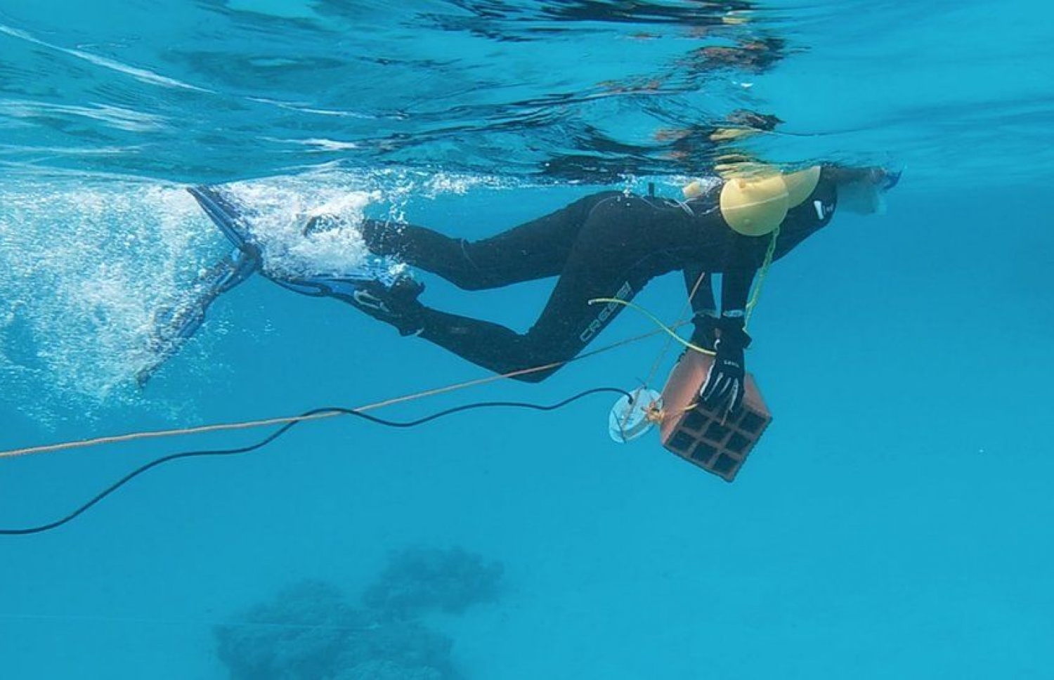 ރިސާޗަރަކު ކަނޑުގެ އަޑުތައް ރެކޯޑްކުރަނީ.