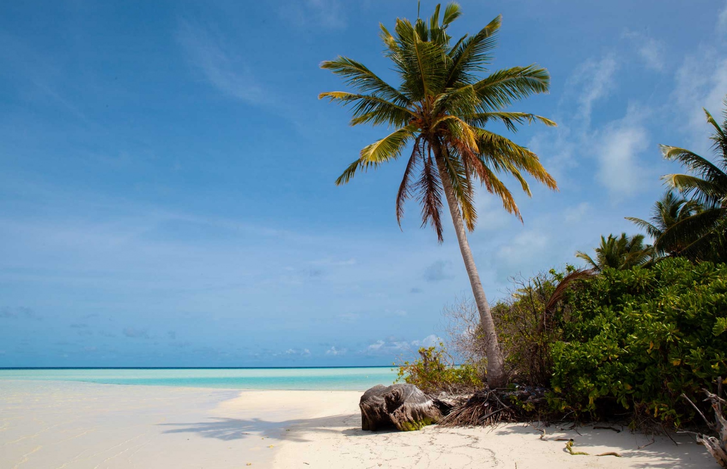 ވ. ފޮއްތެޔޮ ބޮޑުފުށި. -- ފޮޓޯ: އޯބްރޭ ބެލްފޯޑް